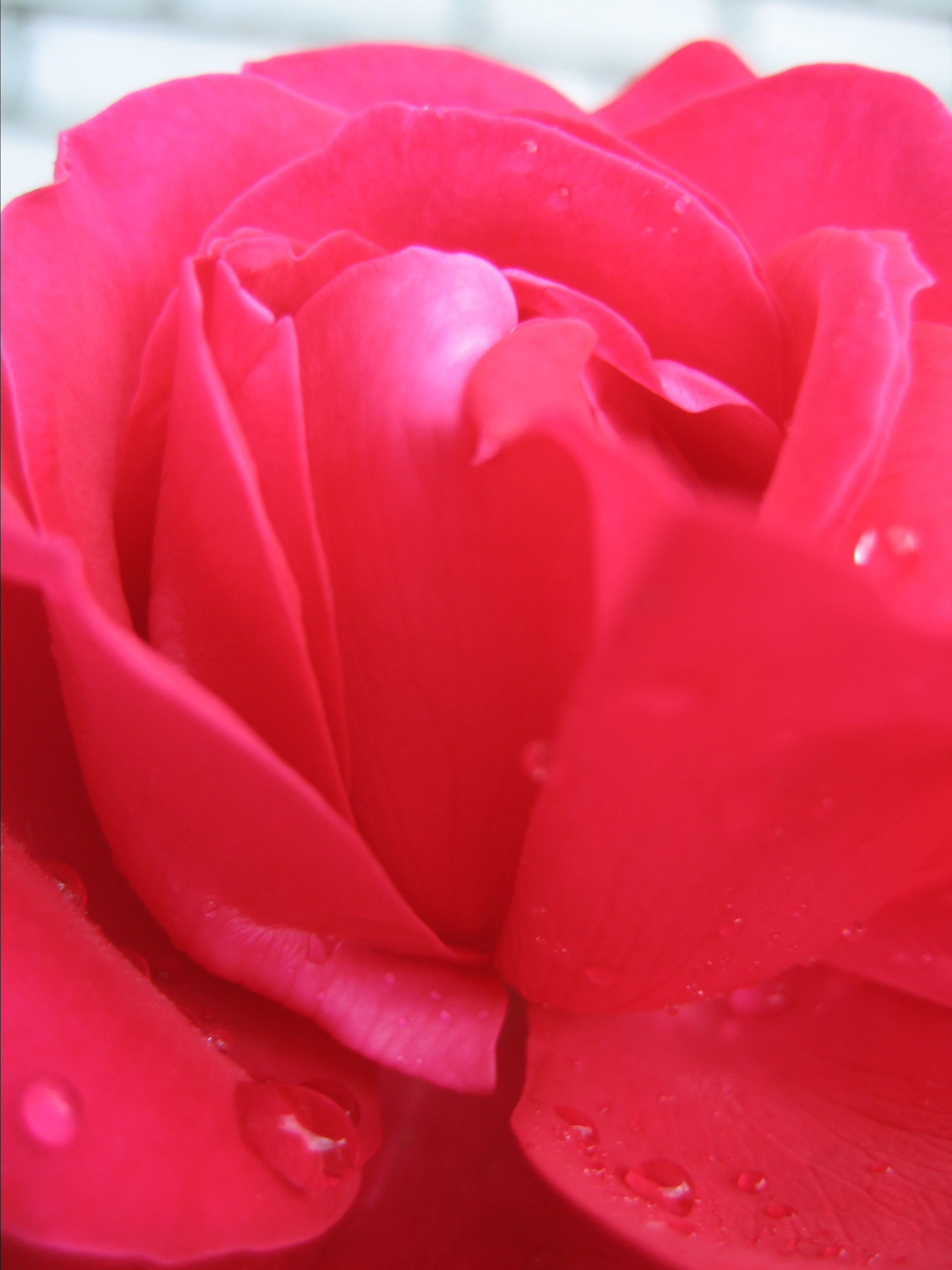 Лето на даче в деревне