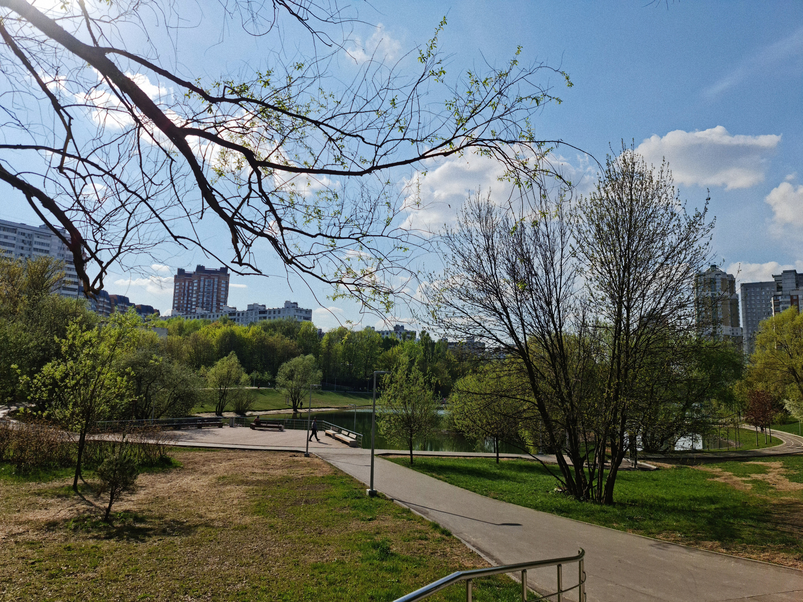 Природа в парке в Москве весной, эстетика апреля.