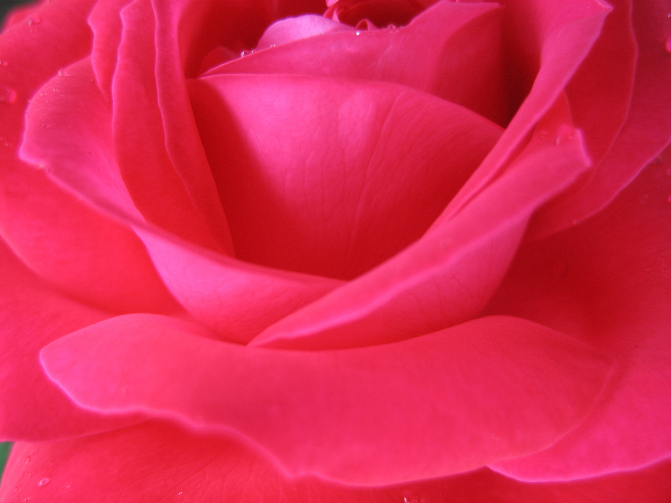 Лето на даче в деревне