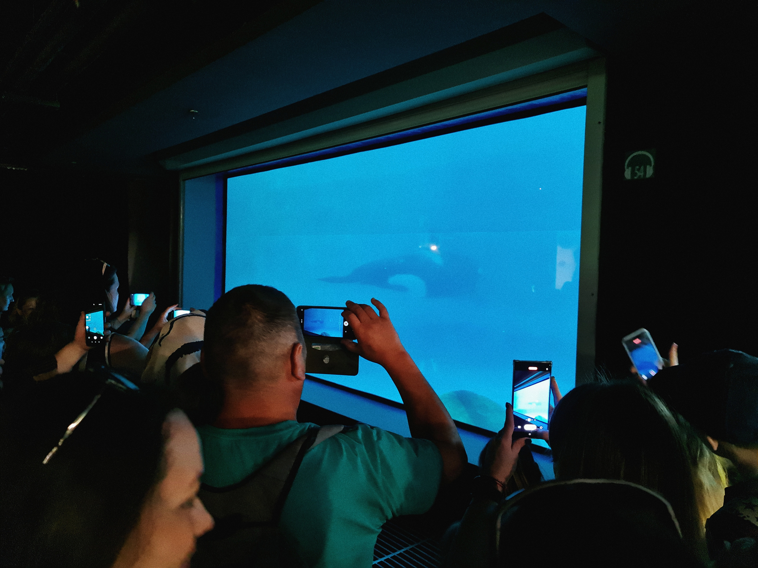 Москвариум на ВДНХ, фото