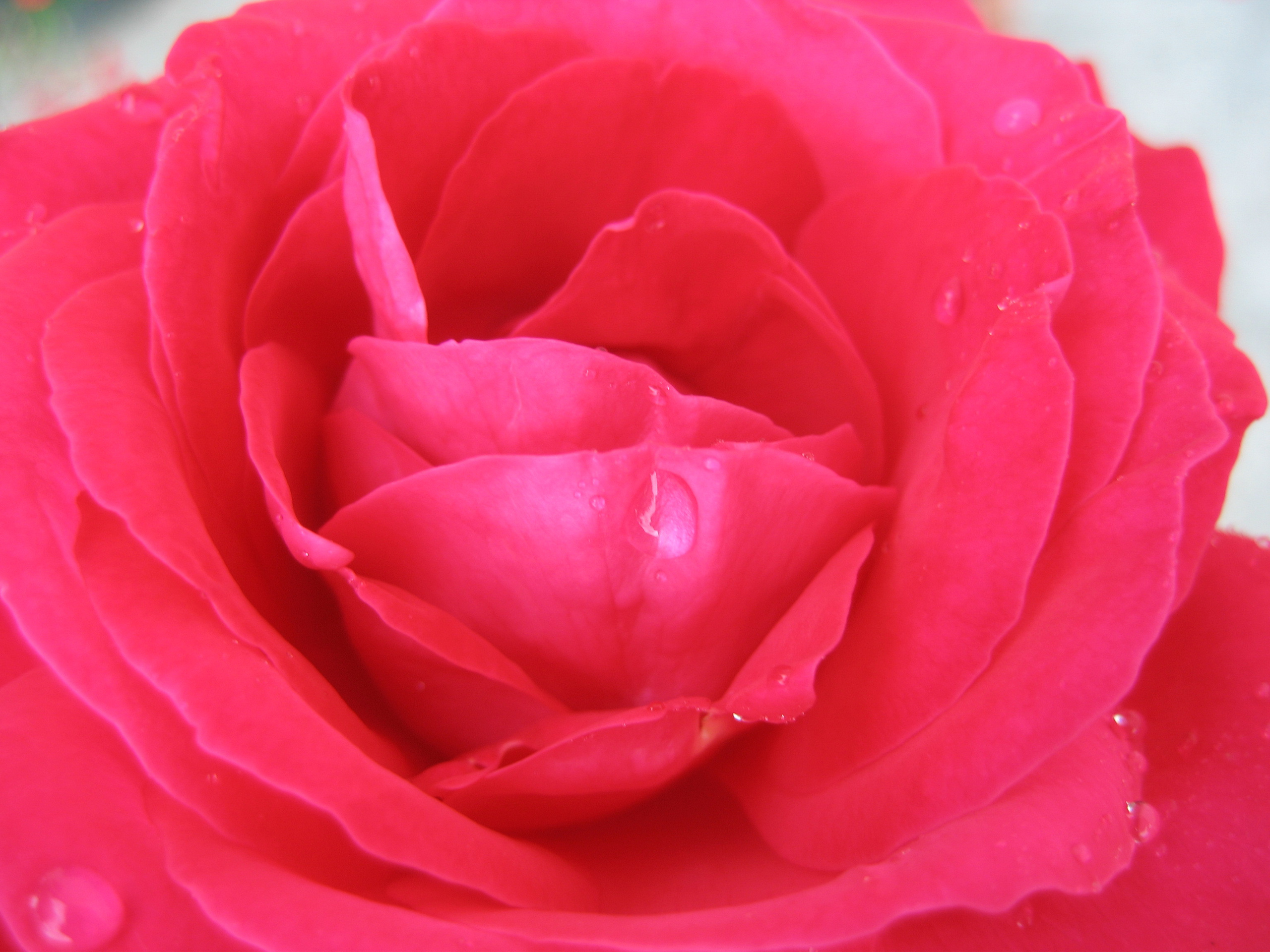 Лето на даче в деревне