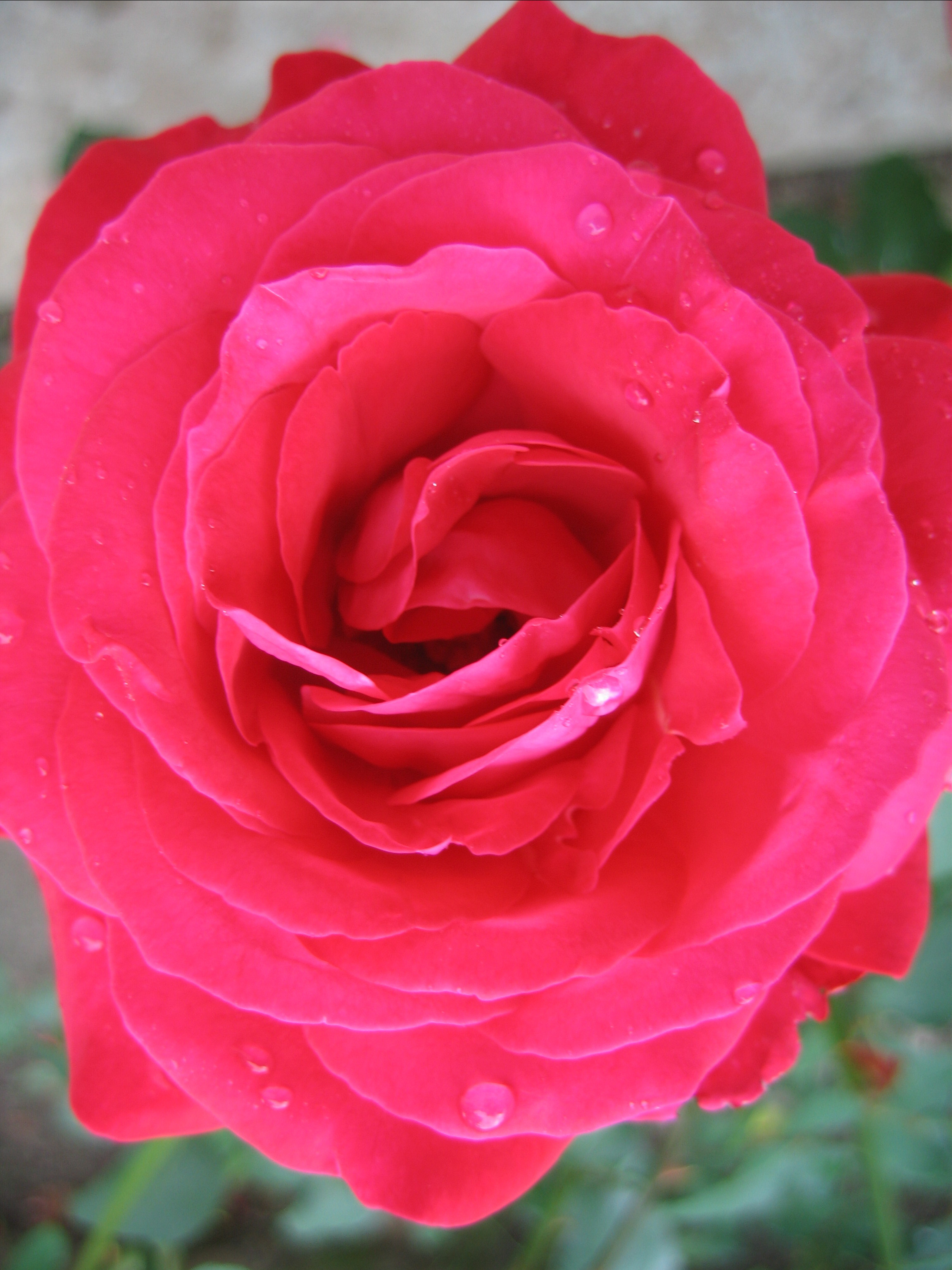 Лето на даче в деревне