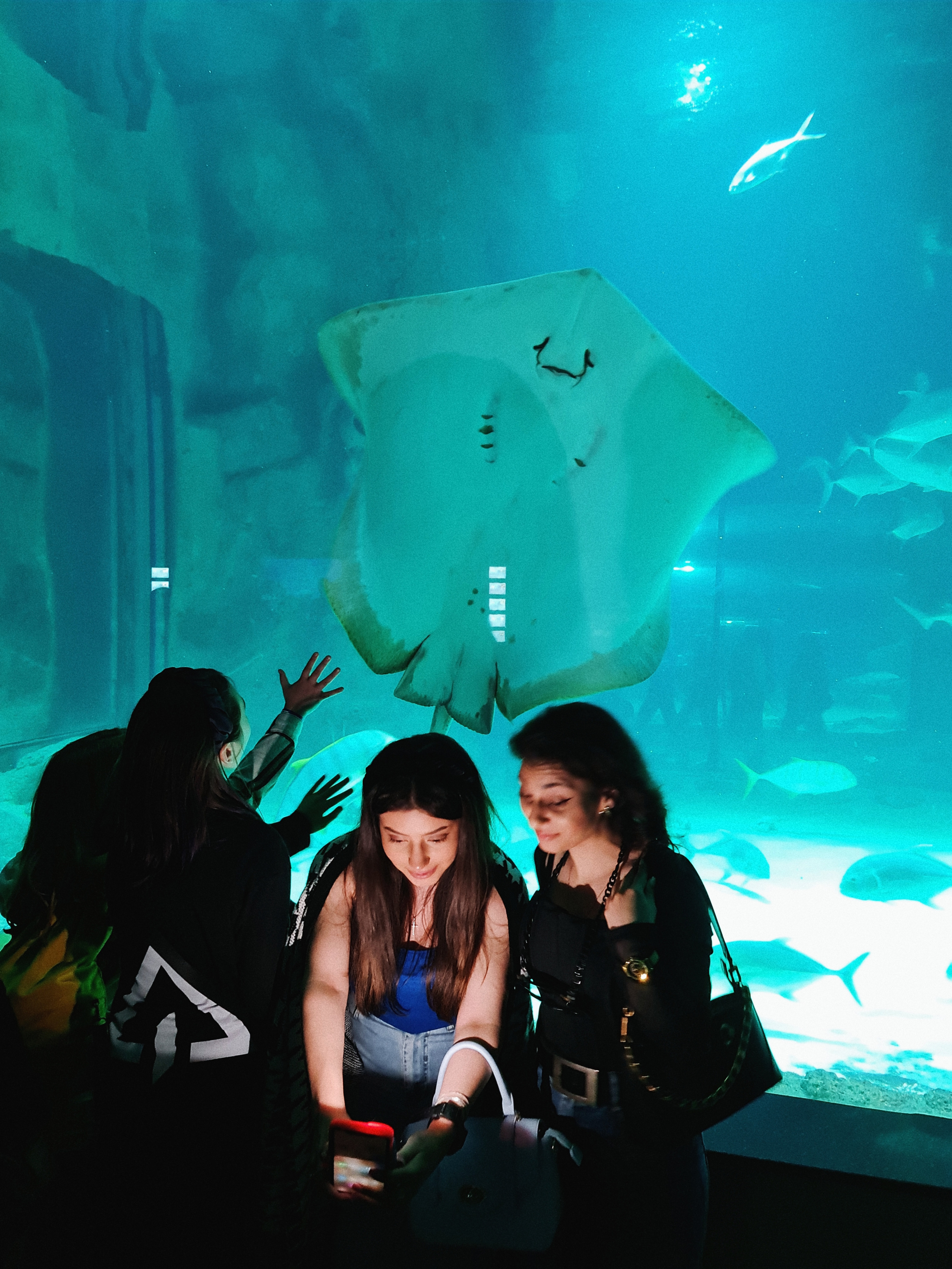 Москвариум на ВДНХ, фото