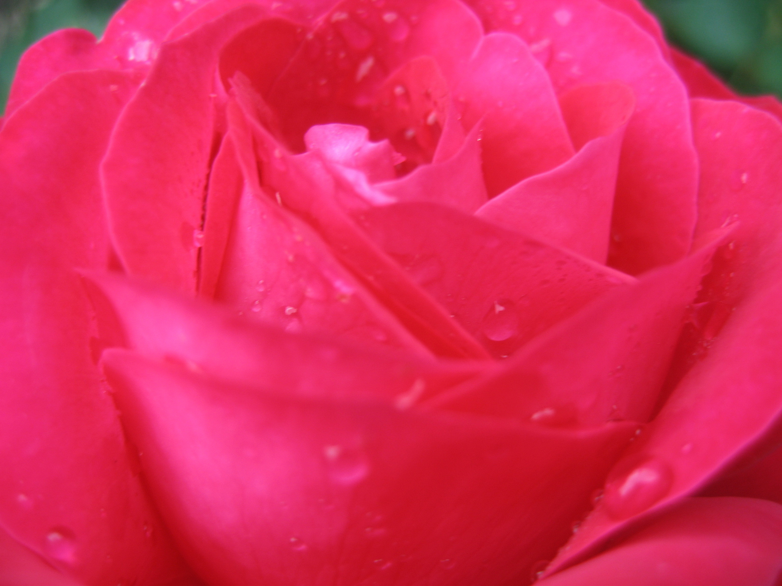 Лето на даче в деревне