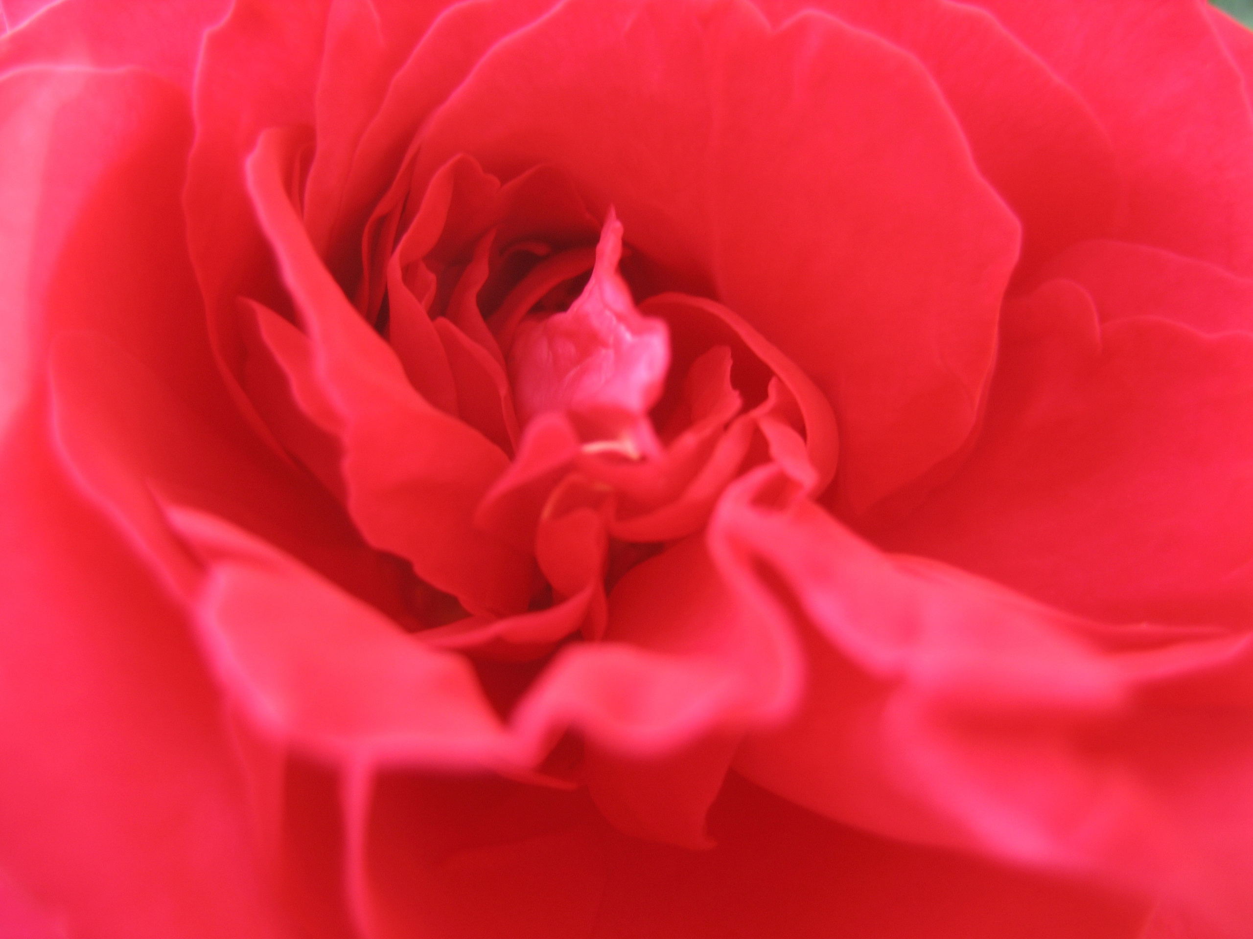 Лето на даче в деревне