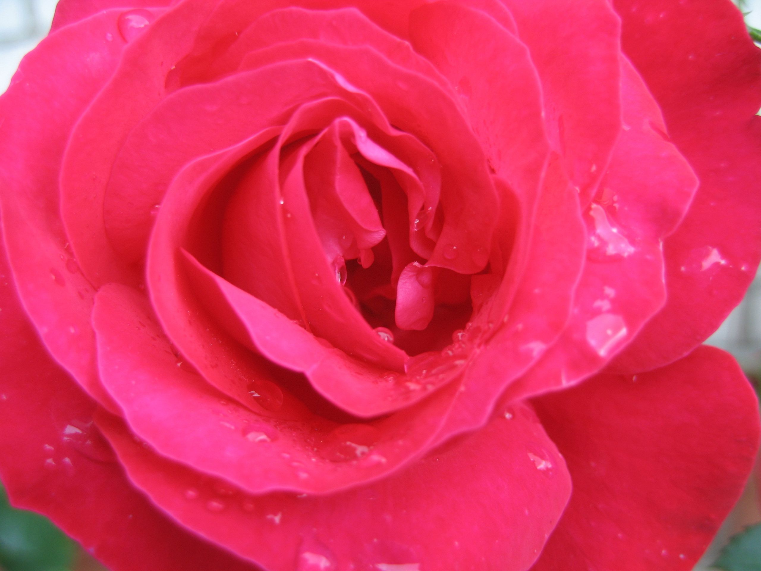 Лето на даче в деревне