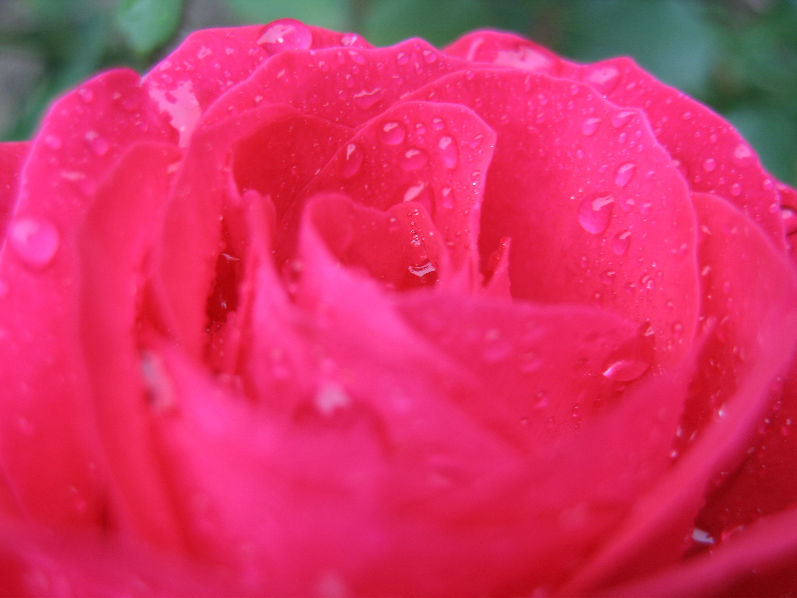 Лето на даче в деревне