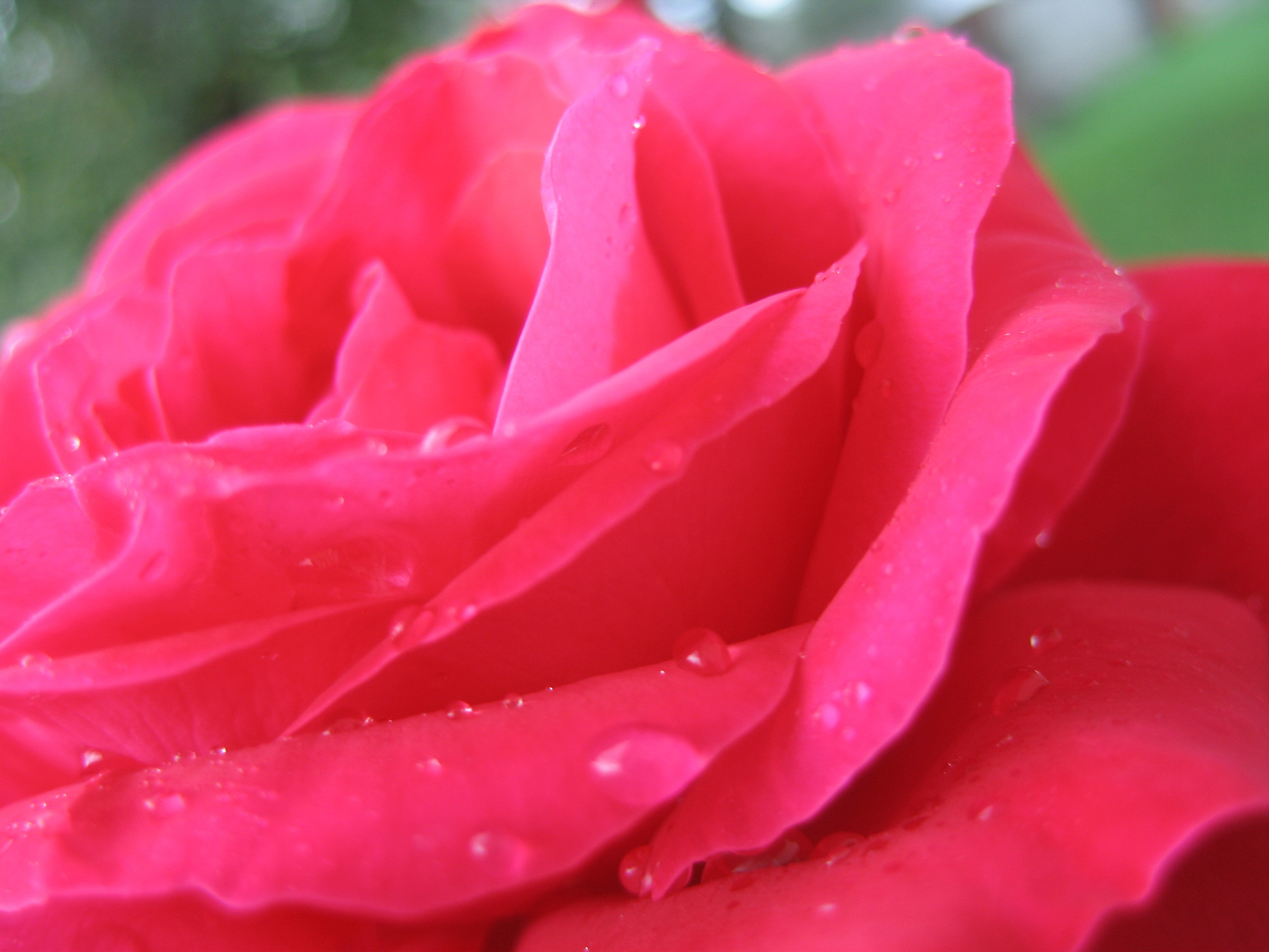 Лето на даче в деревне