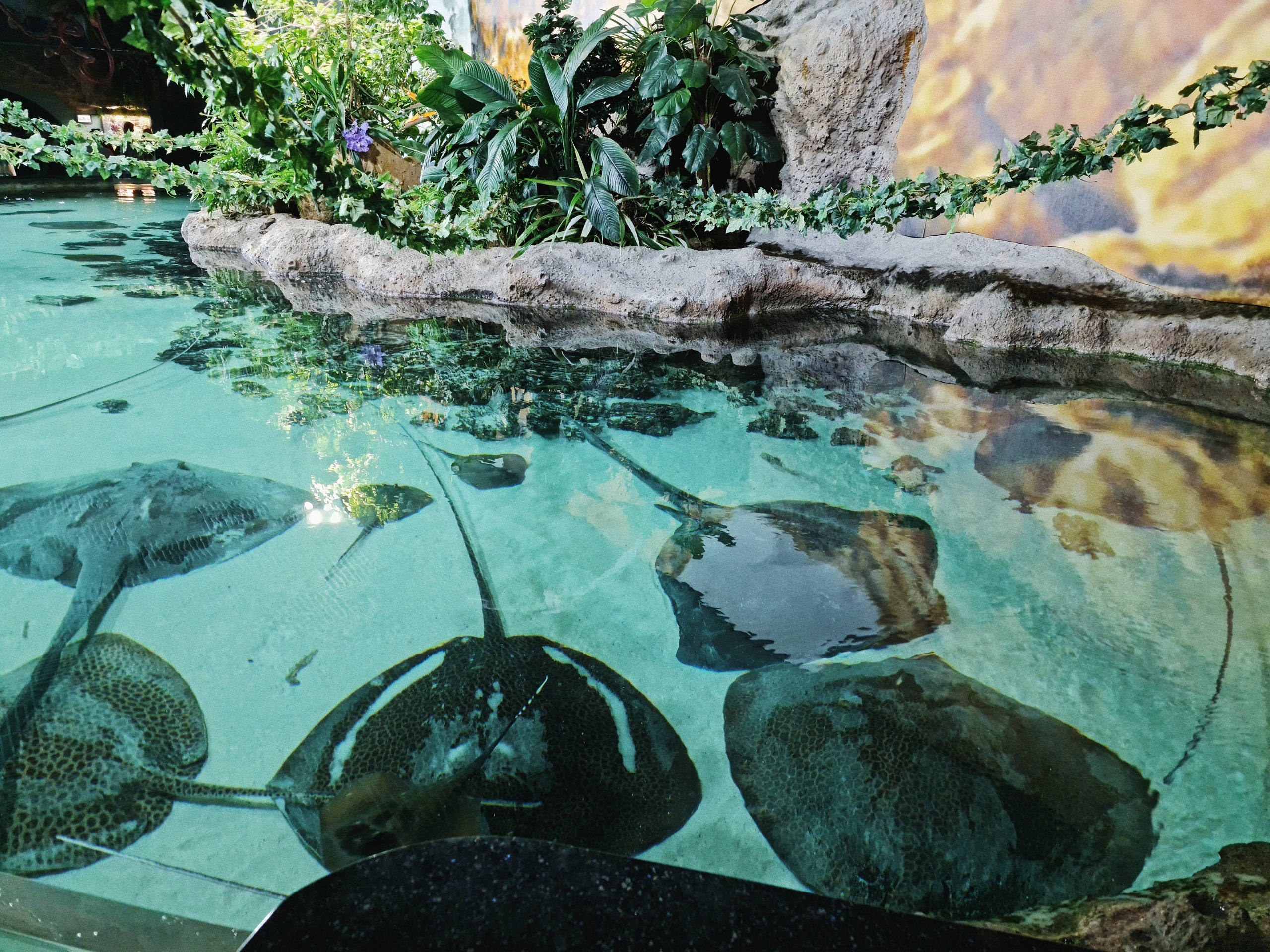 Москвариум на ВДНХ, фото