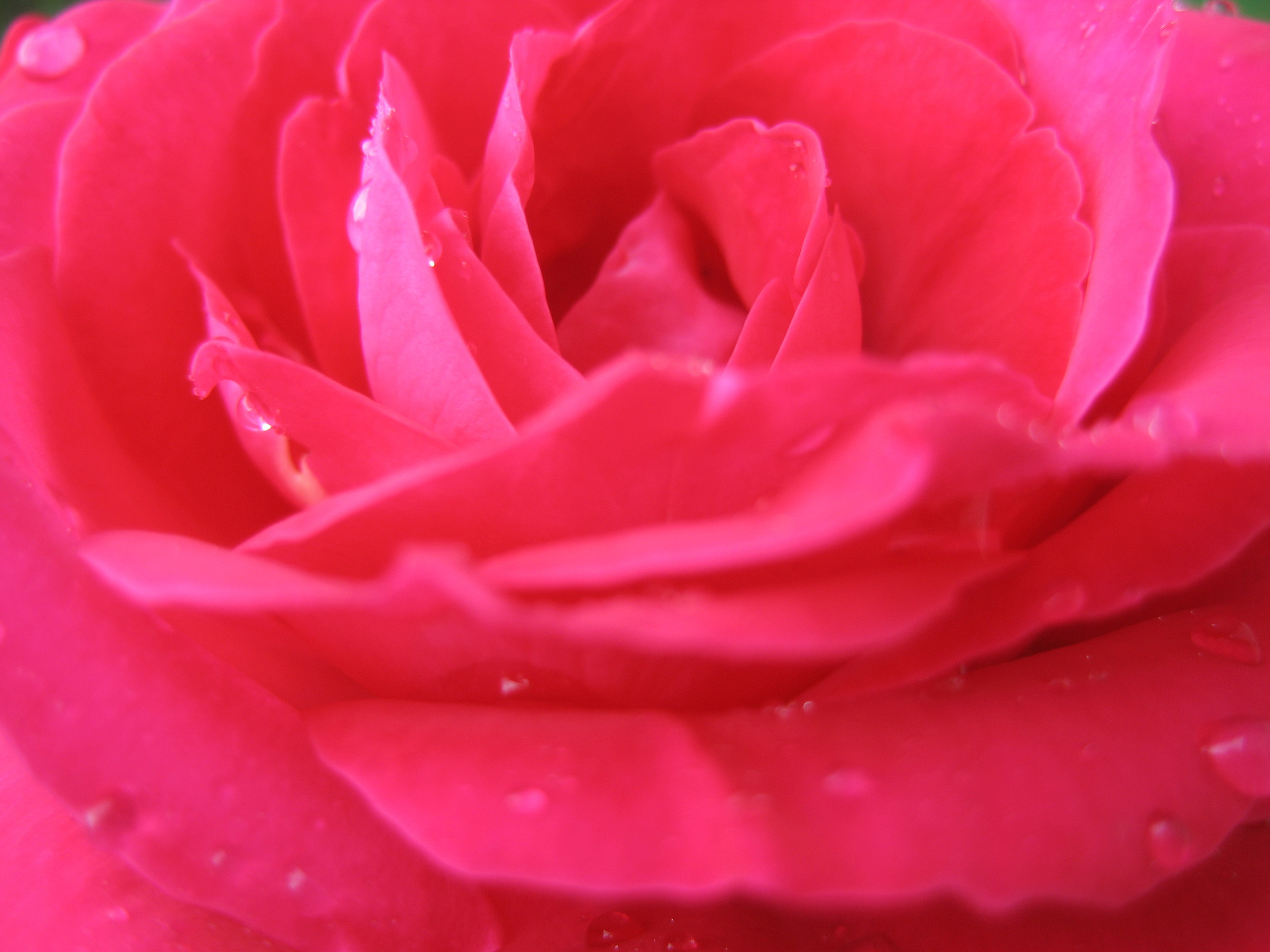 Лето на даче в деревне