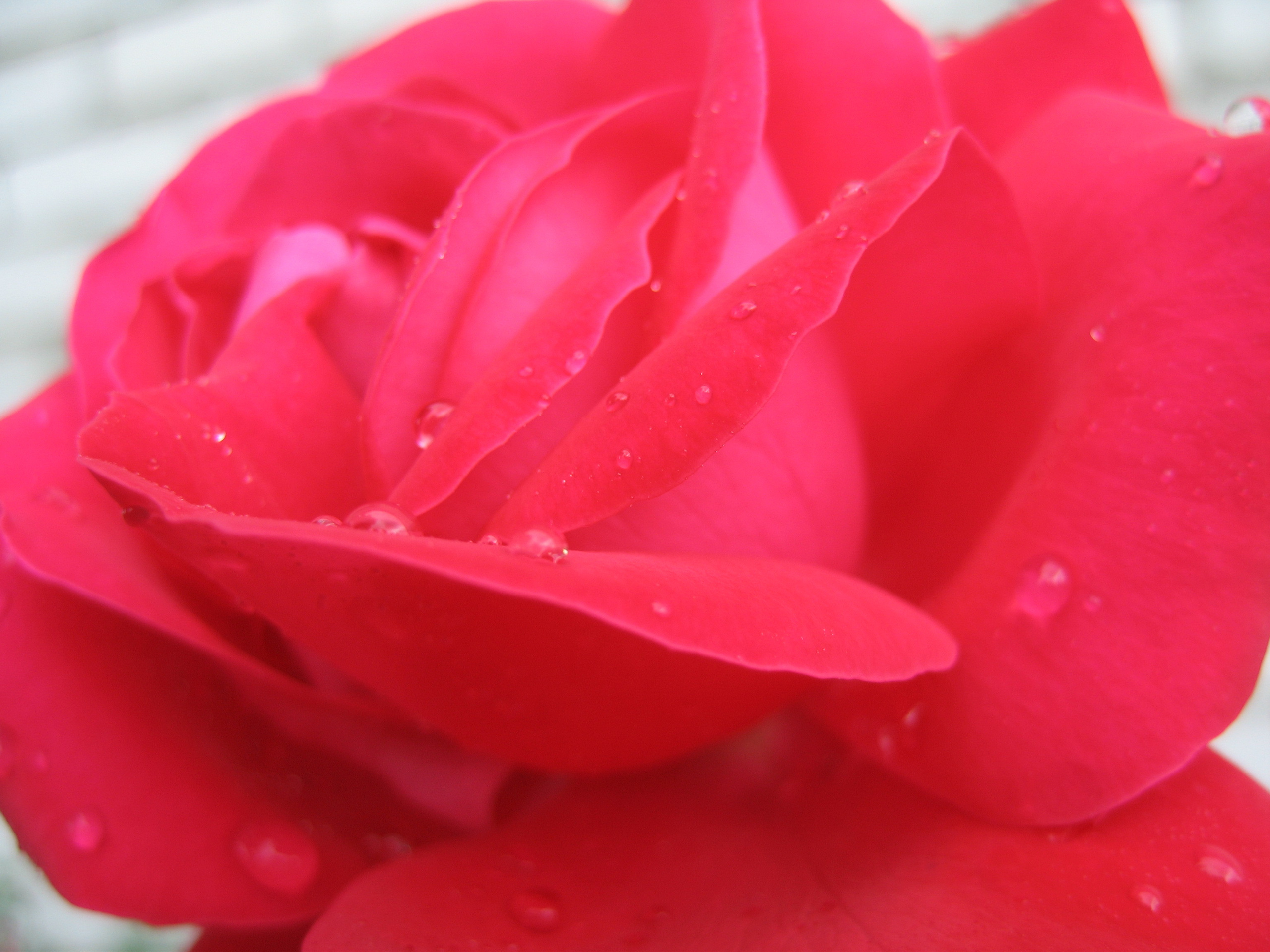 Лето на даче в деревне