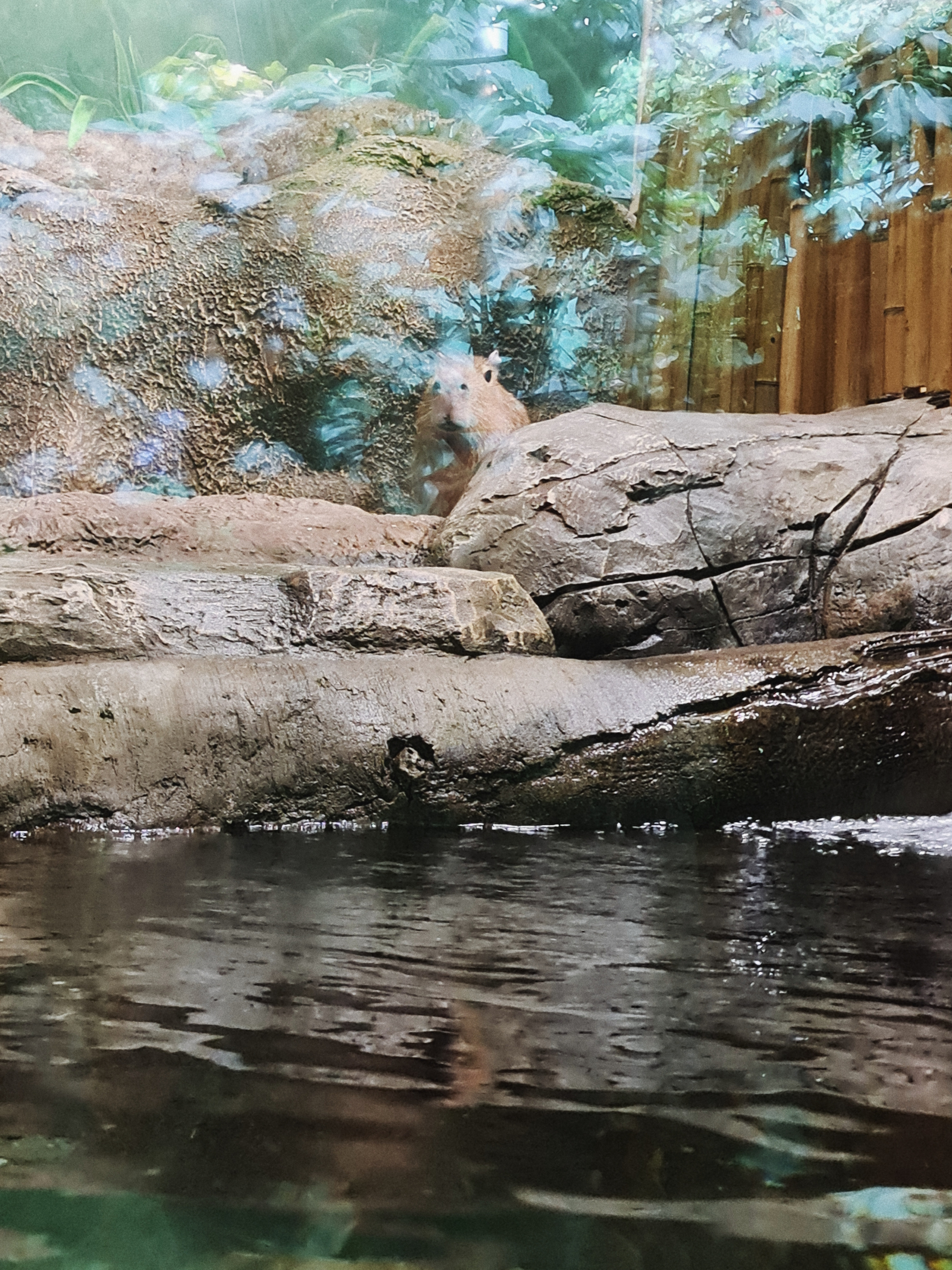 Москвариум на ВДНХ, фото