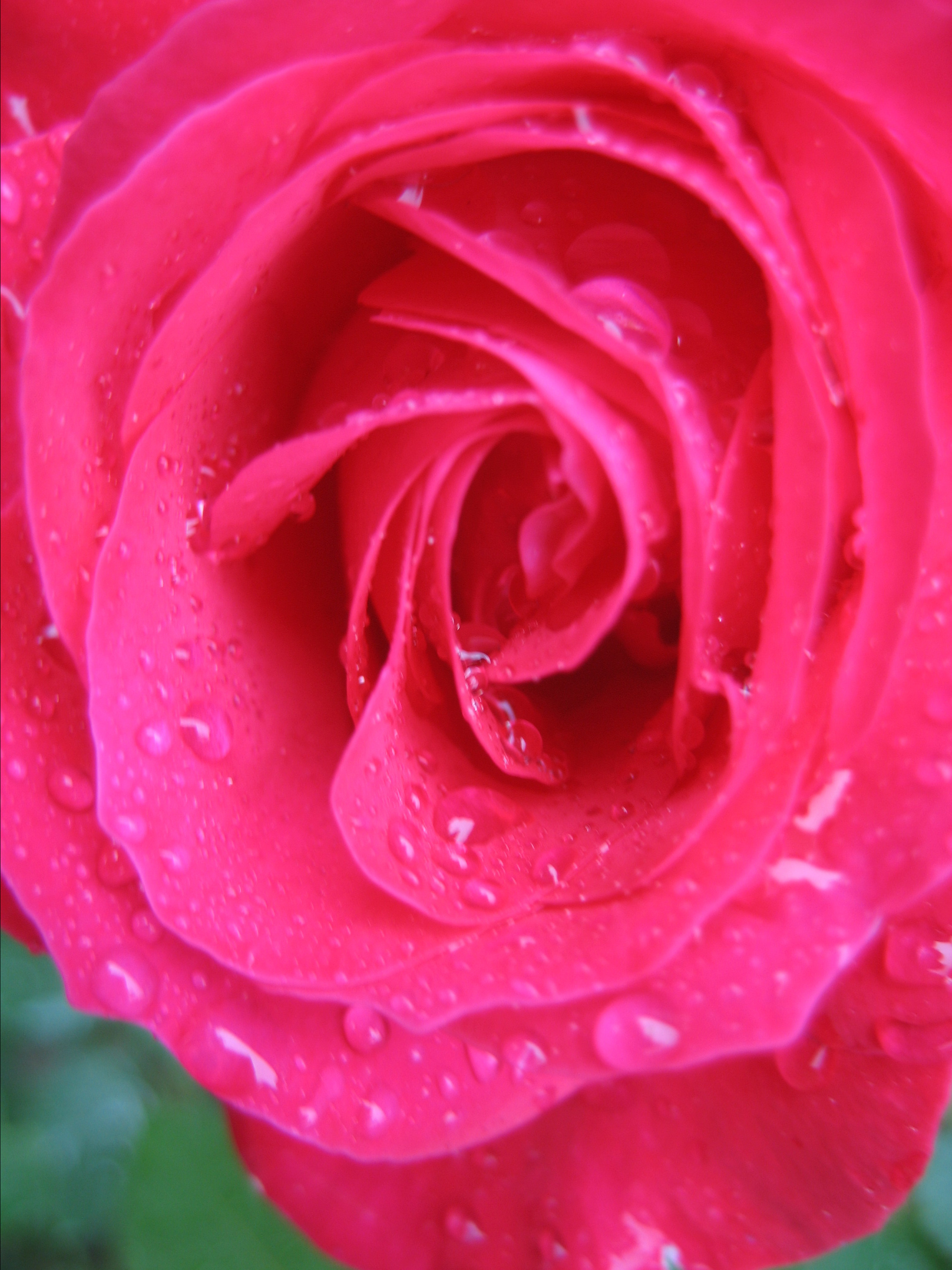 Лето на даче в деревне