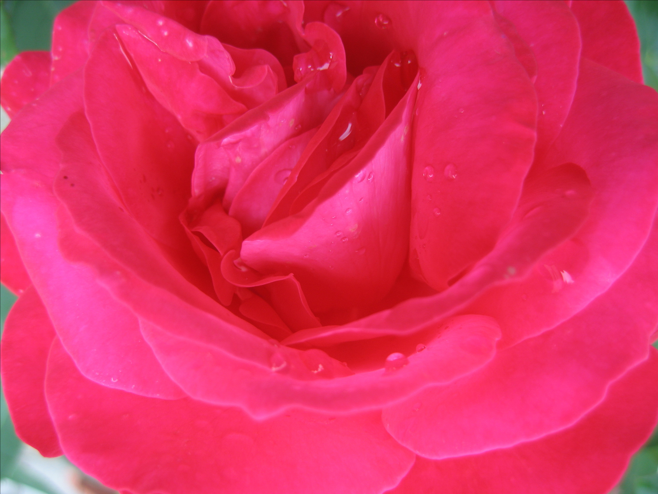 Лето на даче в деревне