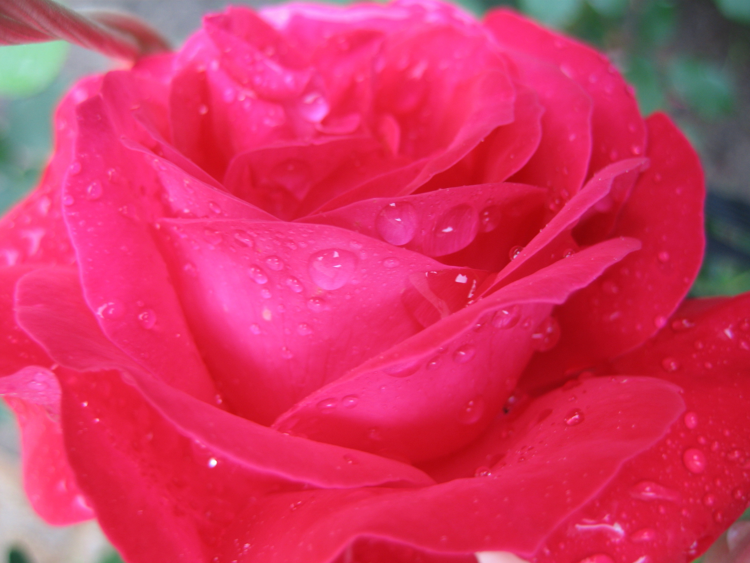 Лето на даче в деревне