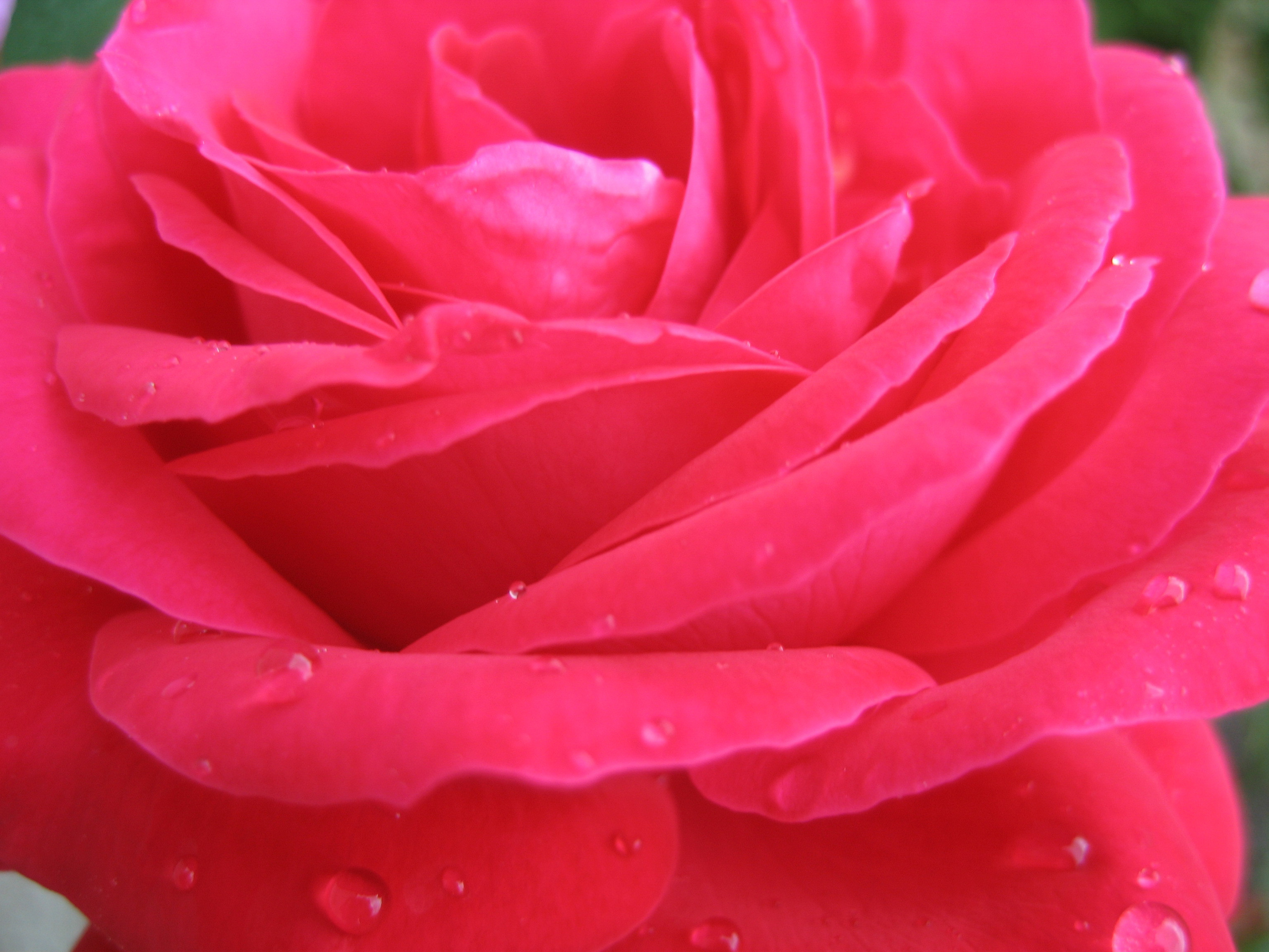 Лето на даче в деревне