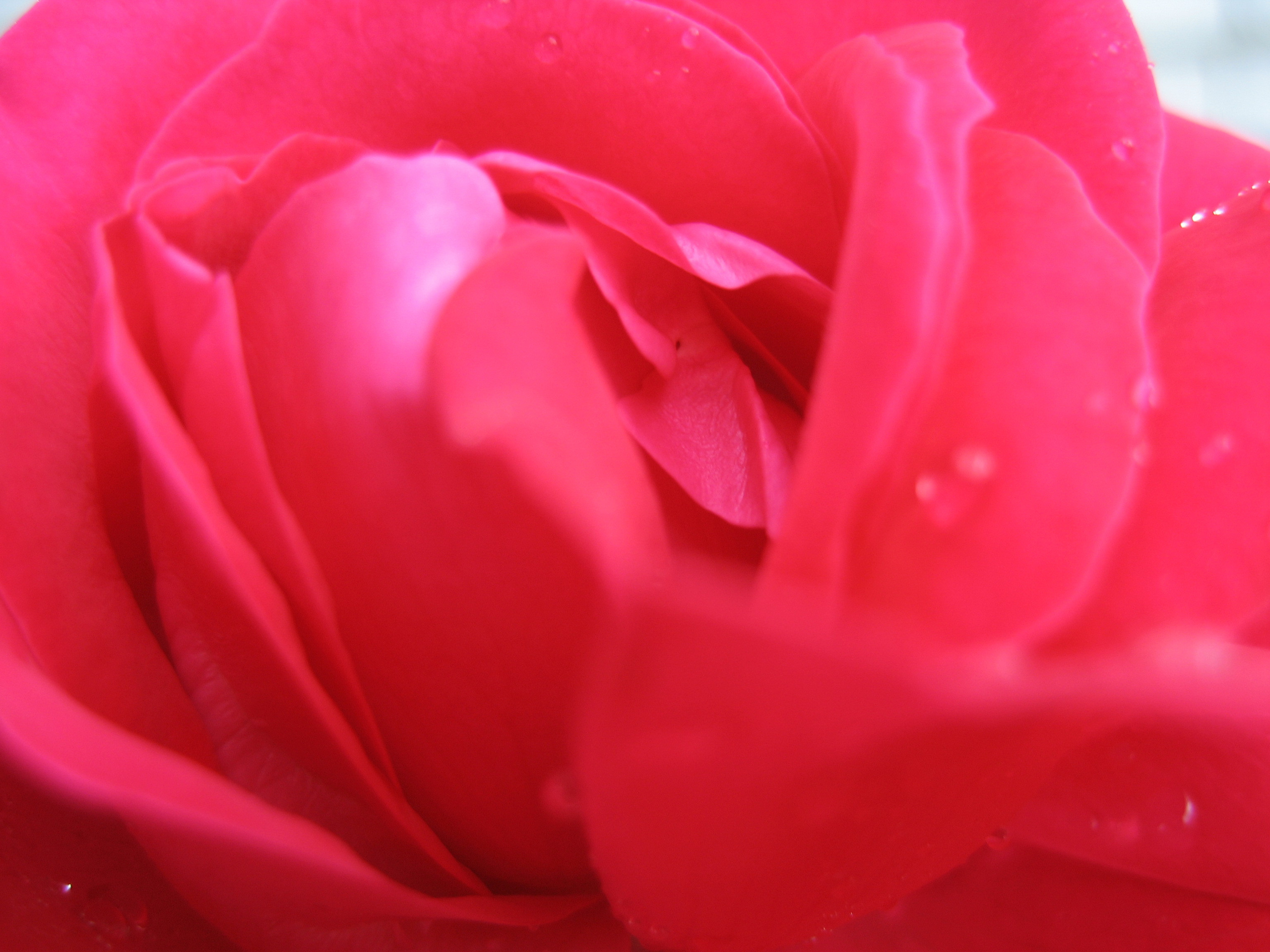 Лето на даче в деревне