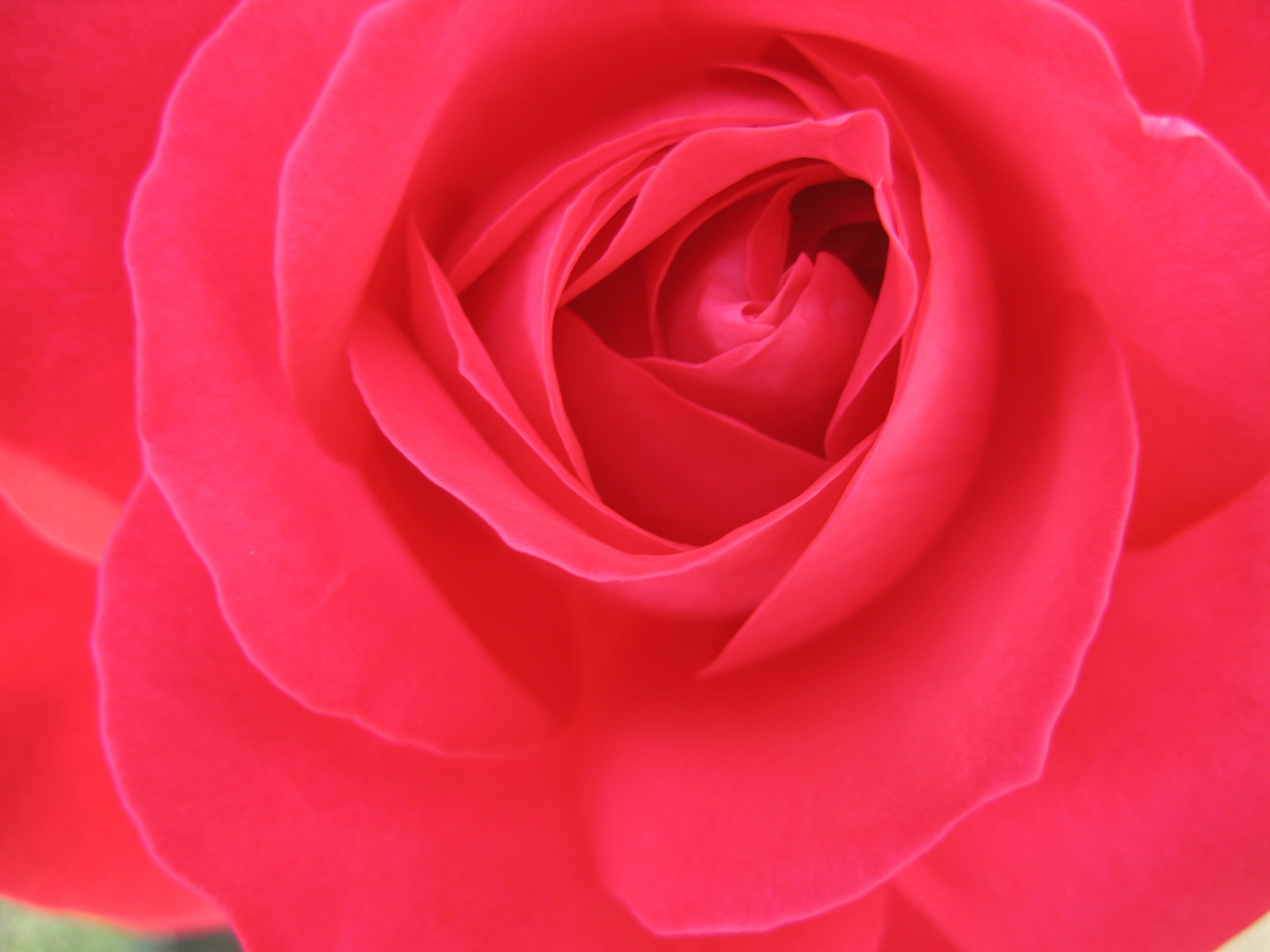 Лето на даче в деревне