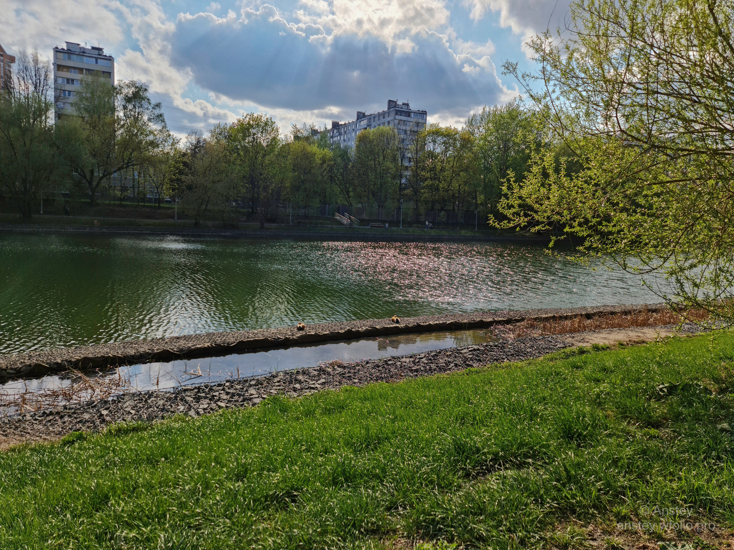 Пруд в московском парке