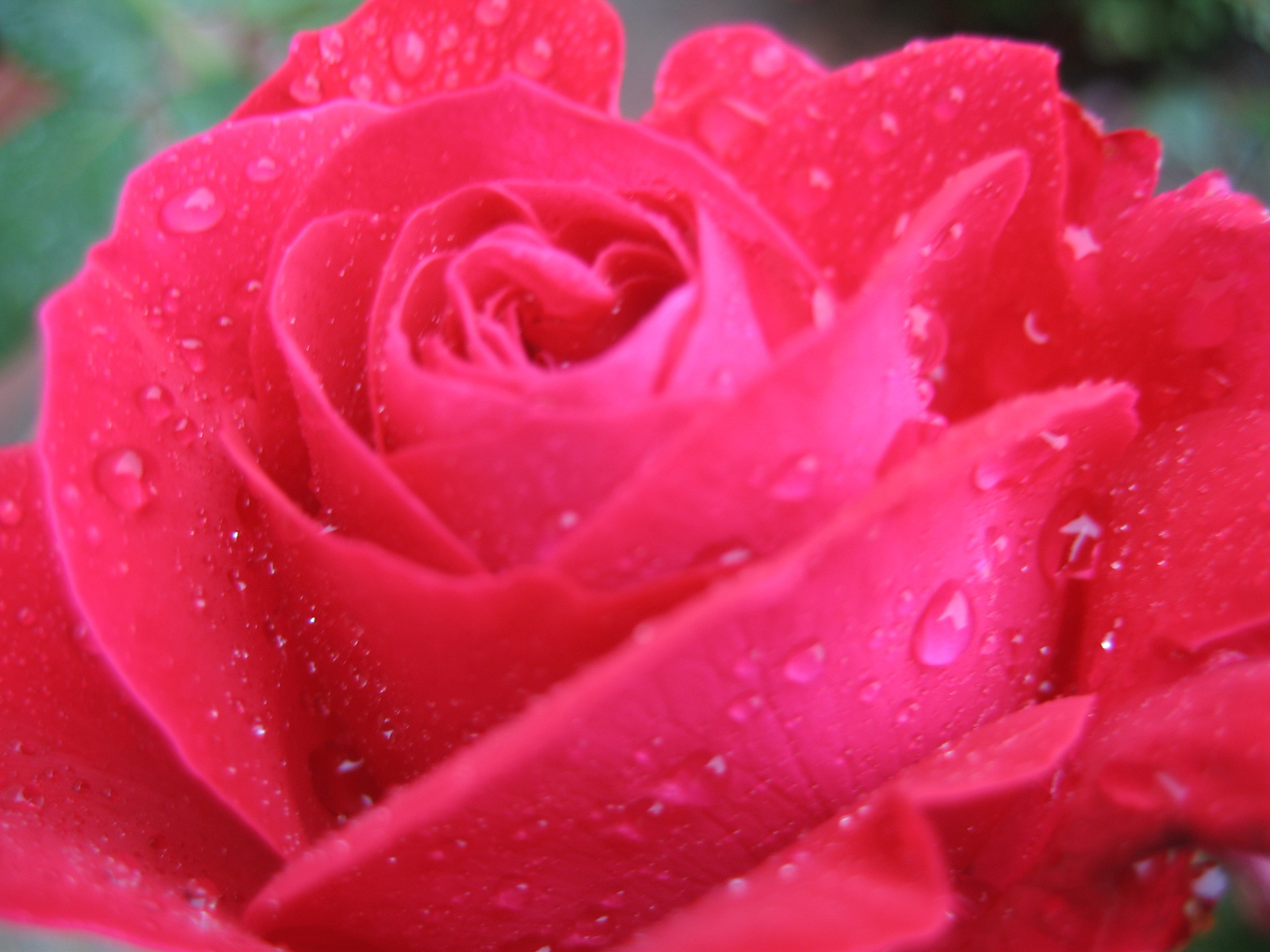 Лето на даче в деревне