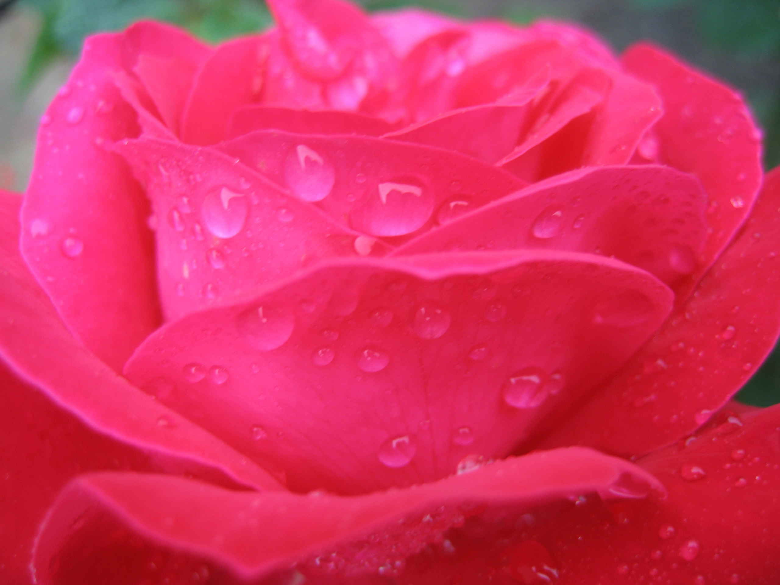 Лето на даче в деревне