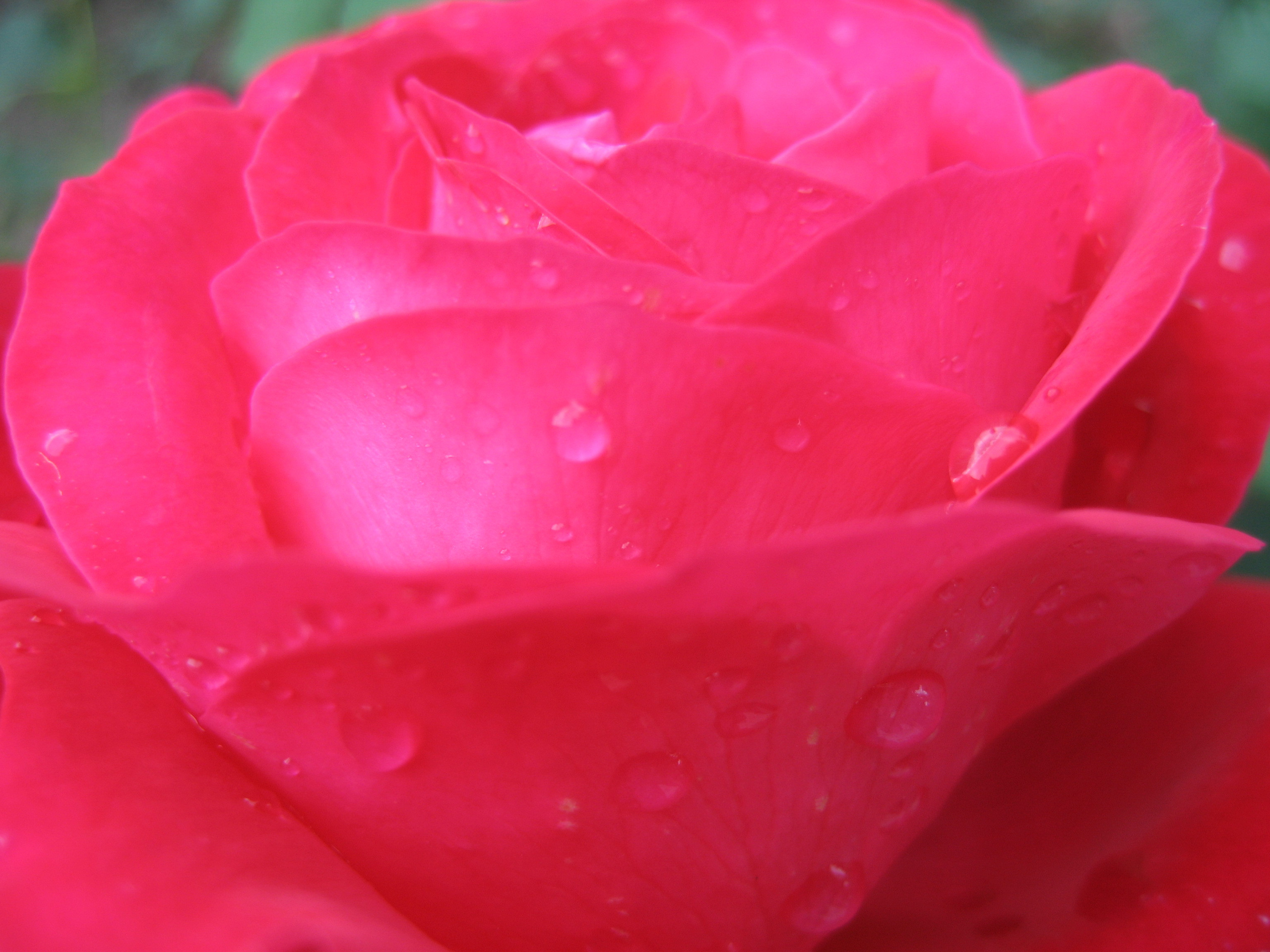 Лето на даче в деревне