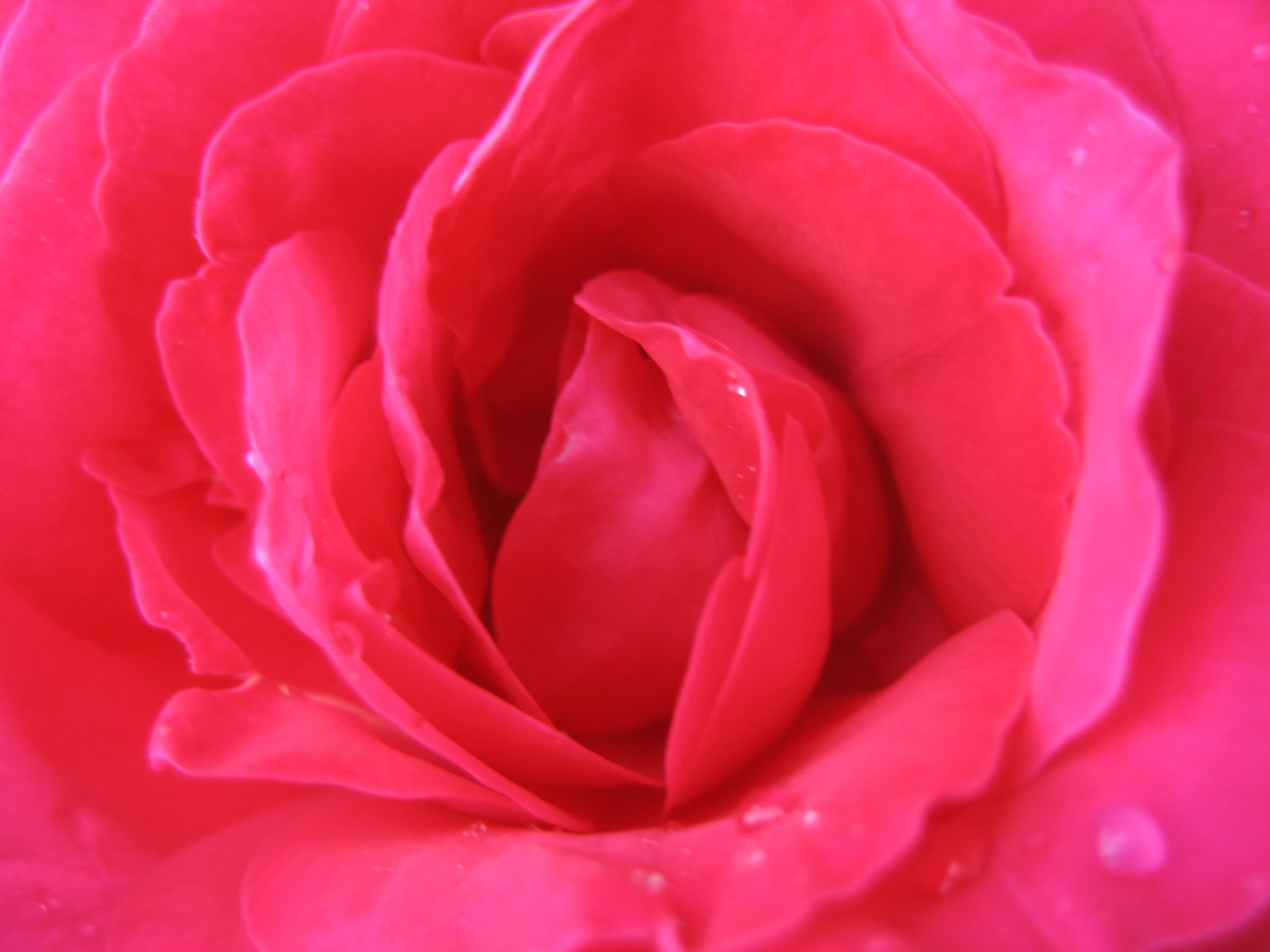 Лето на даче в деревне