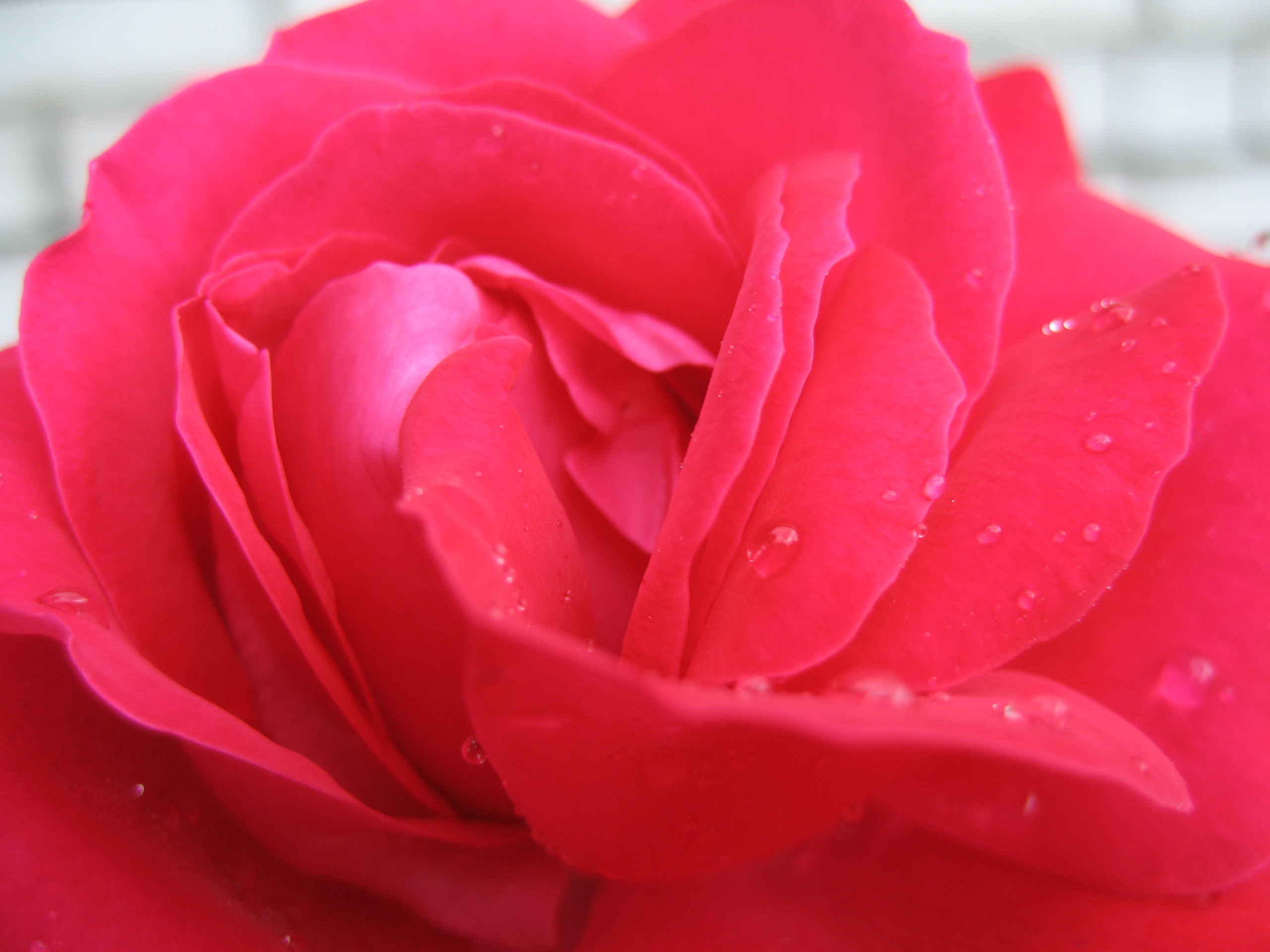 Лето на даче в деревне