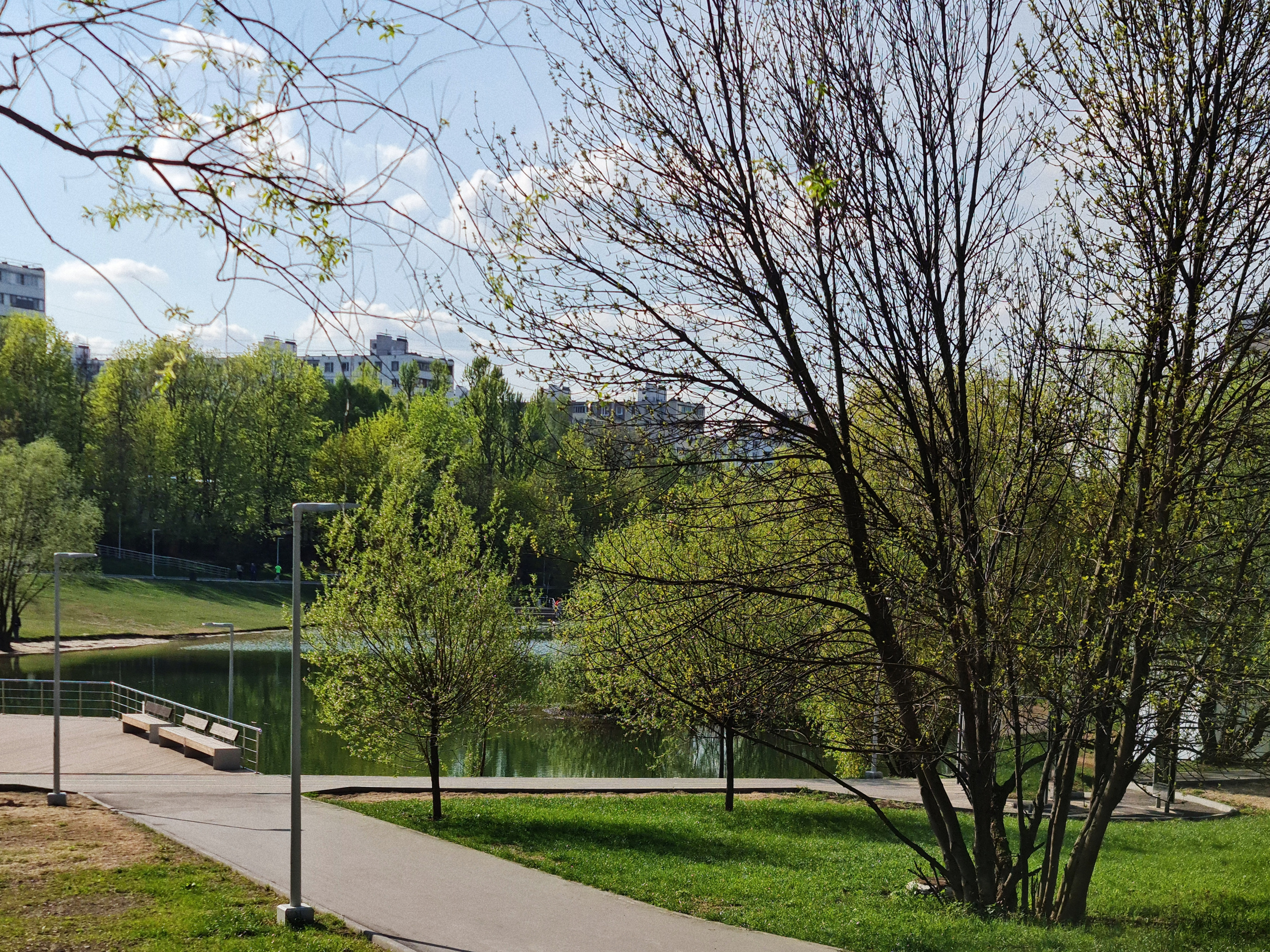 Природный пейзаж в московском парке весной. Скачать красивые эстетичные обои для рабочего стола компьютера.