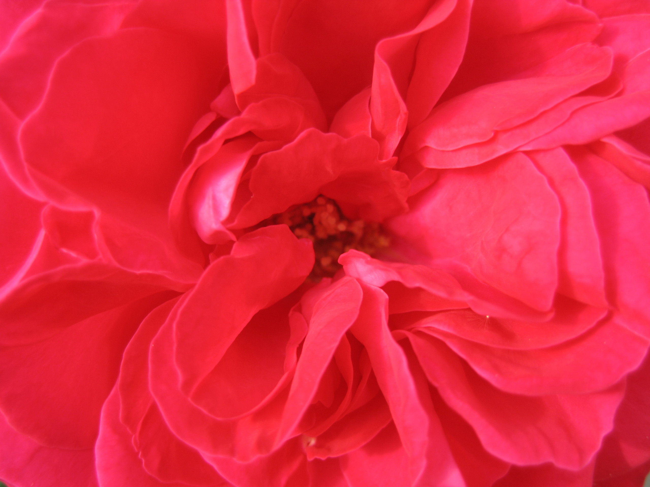 Лето на даче в деревне