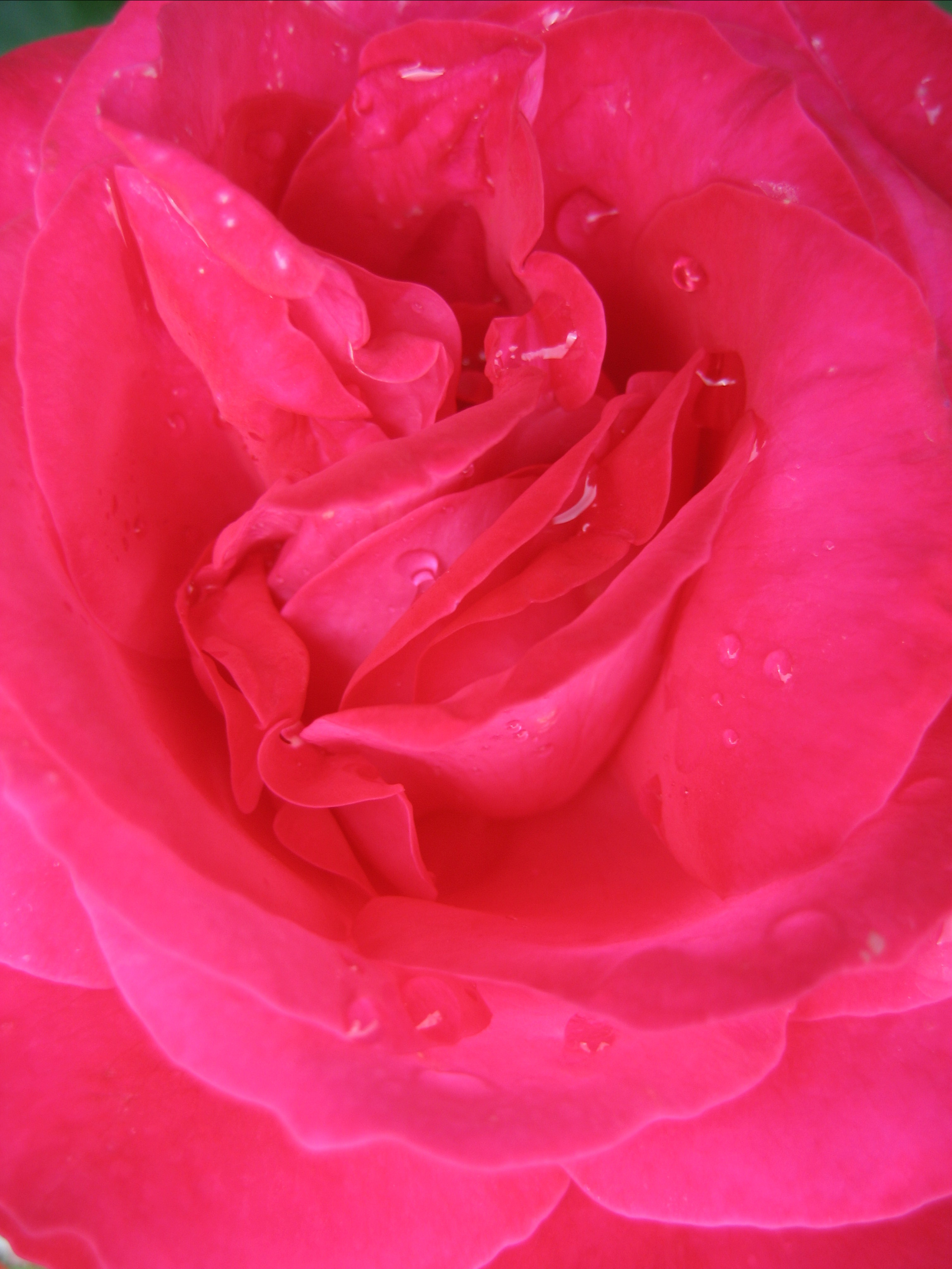 Лето на даче в деревне