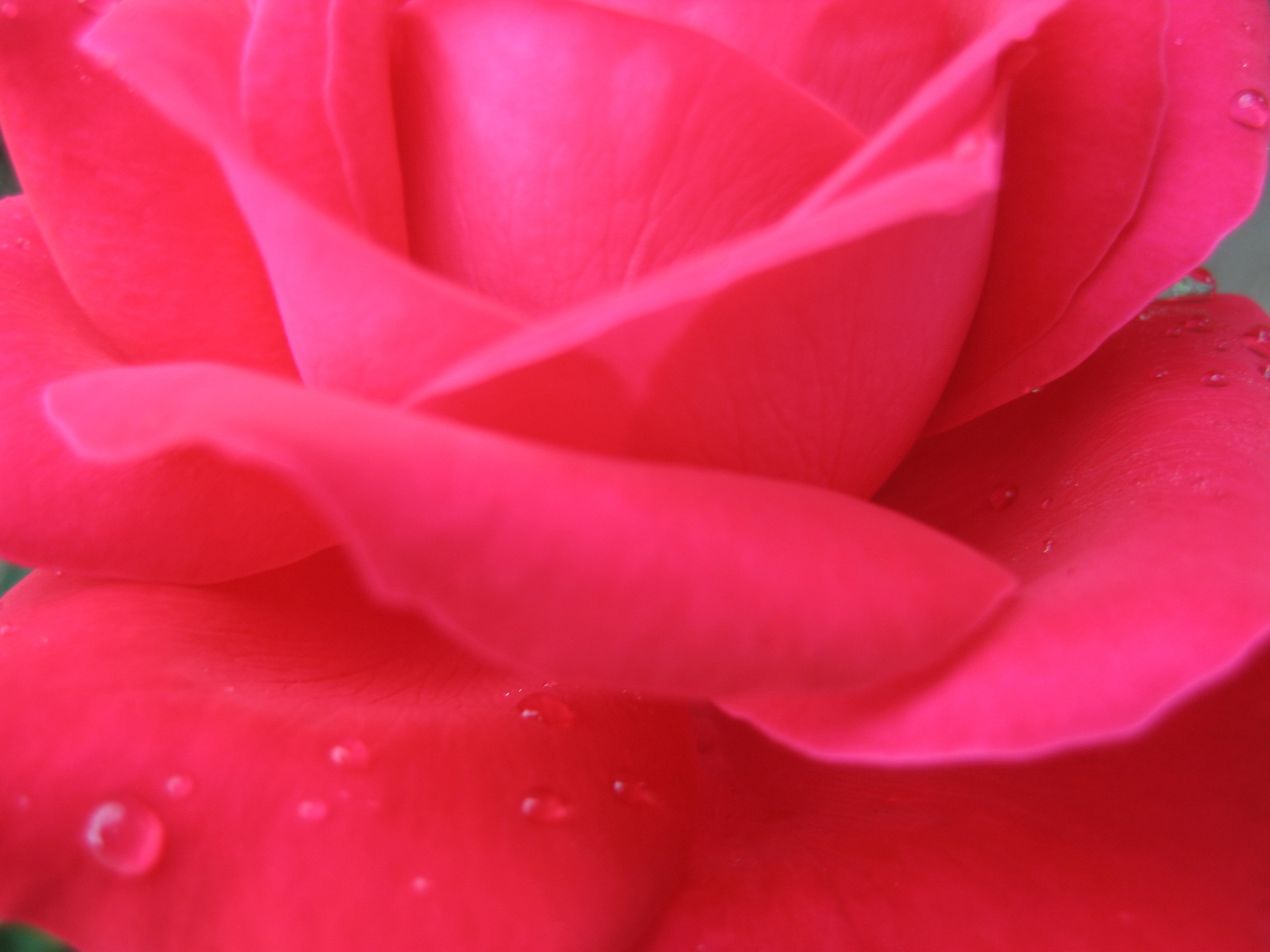 Лето на даче в деревне