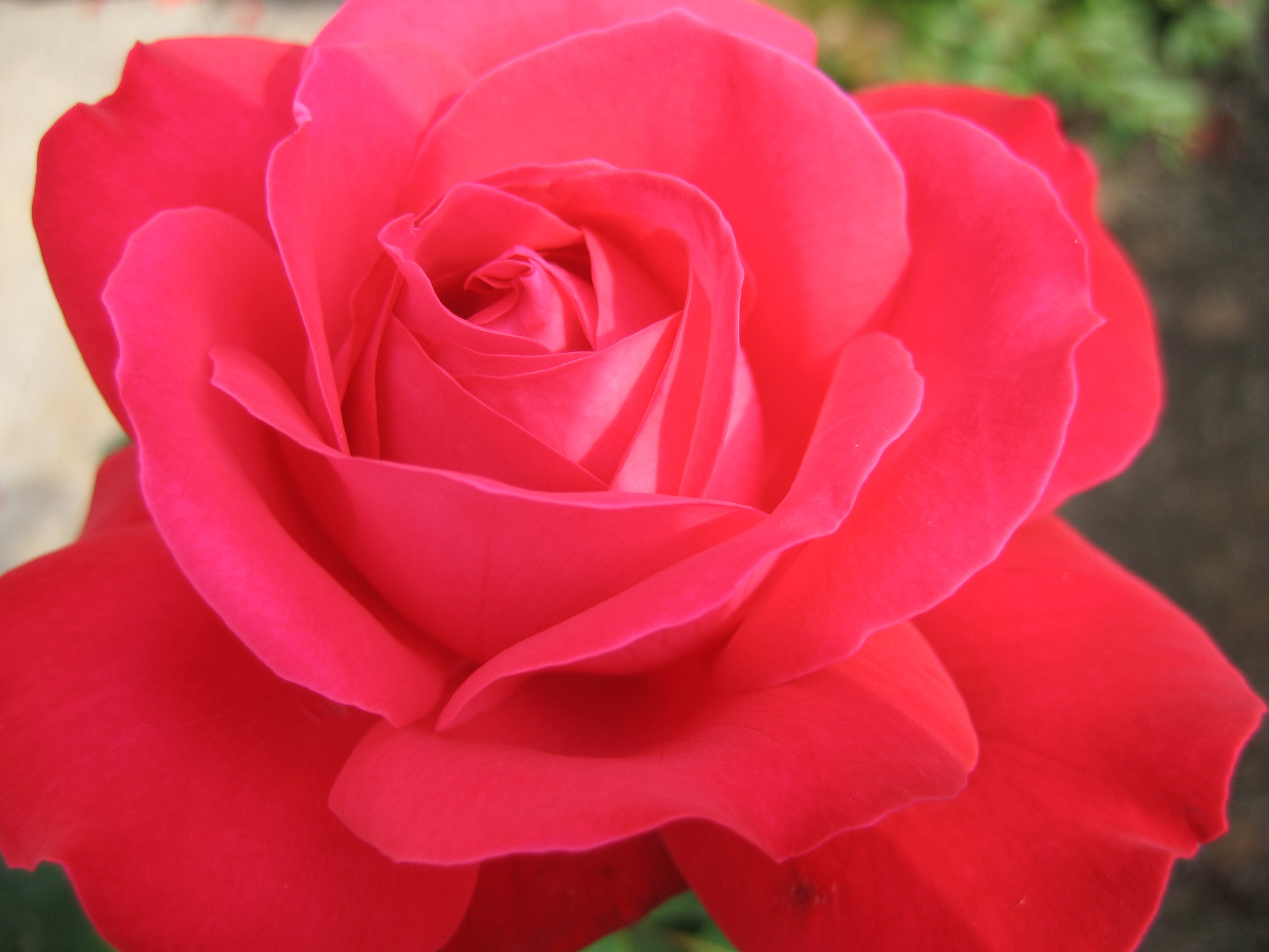 Лето на даче в деревне