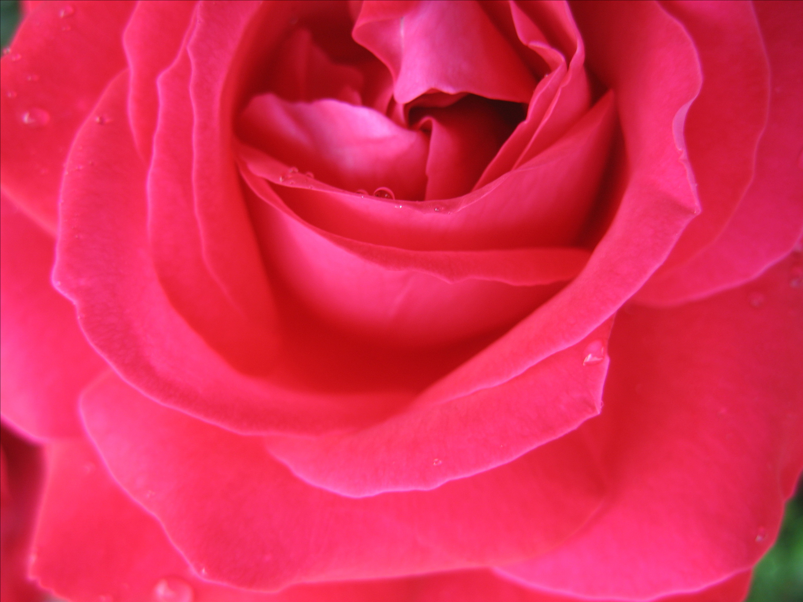 Лето на даче в деревне