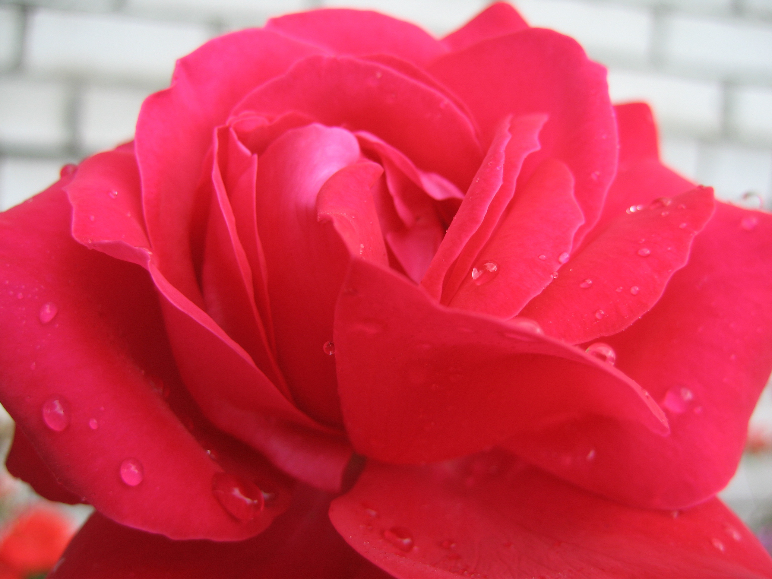 Лето на даче в деревне