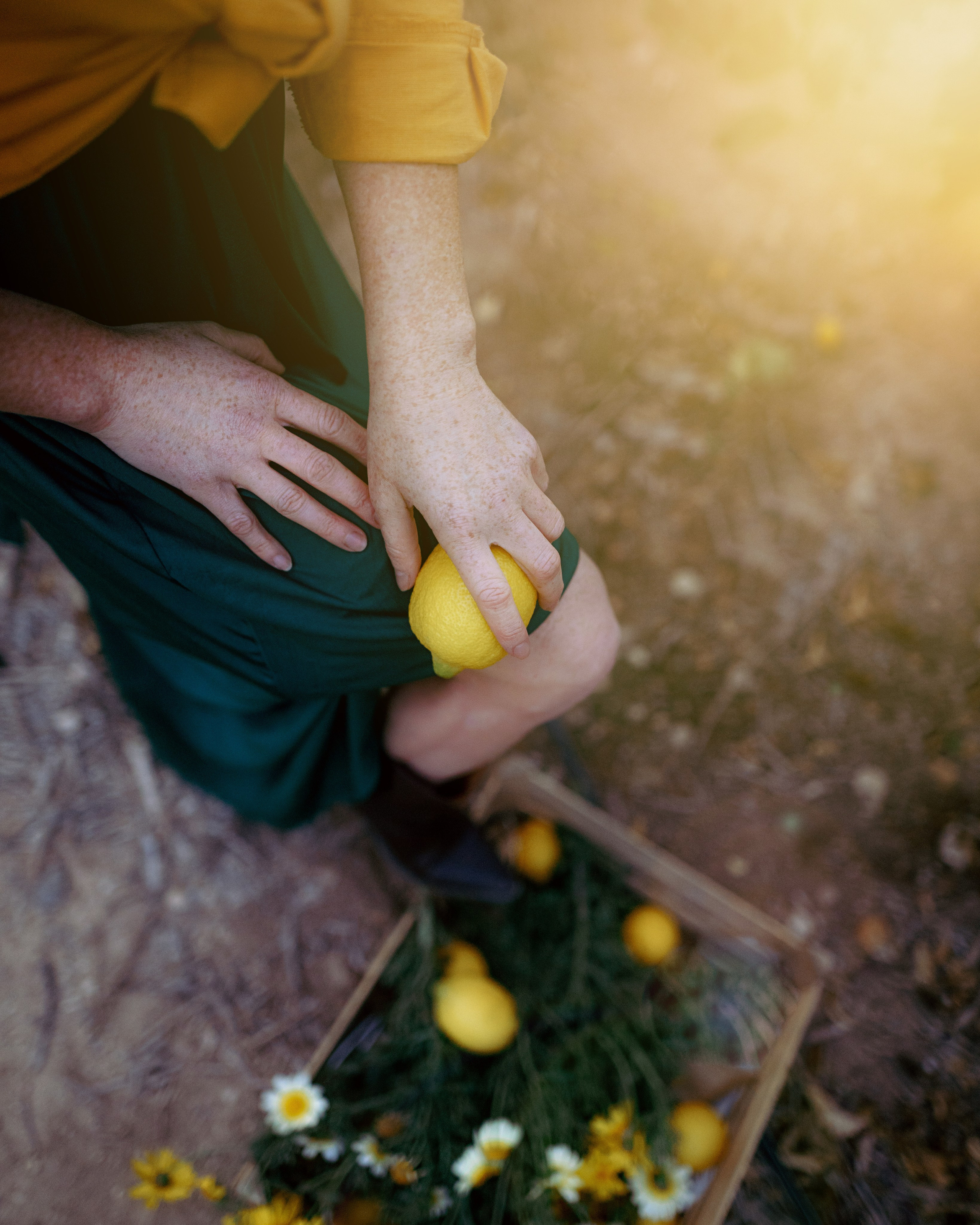 индивидуальная фотосессия в лимонах