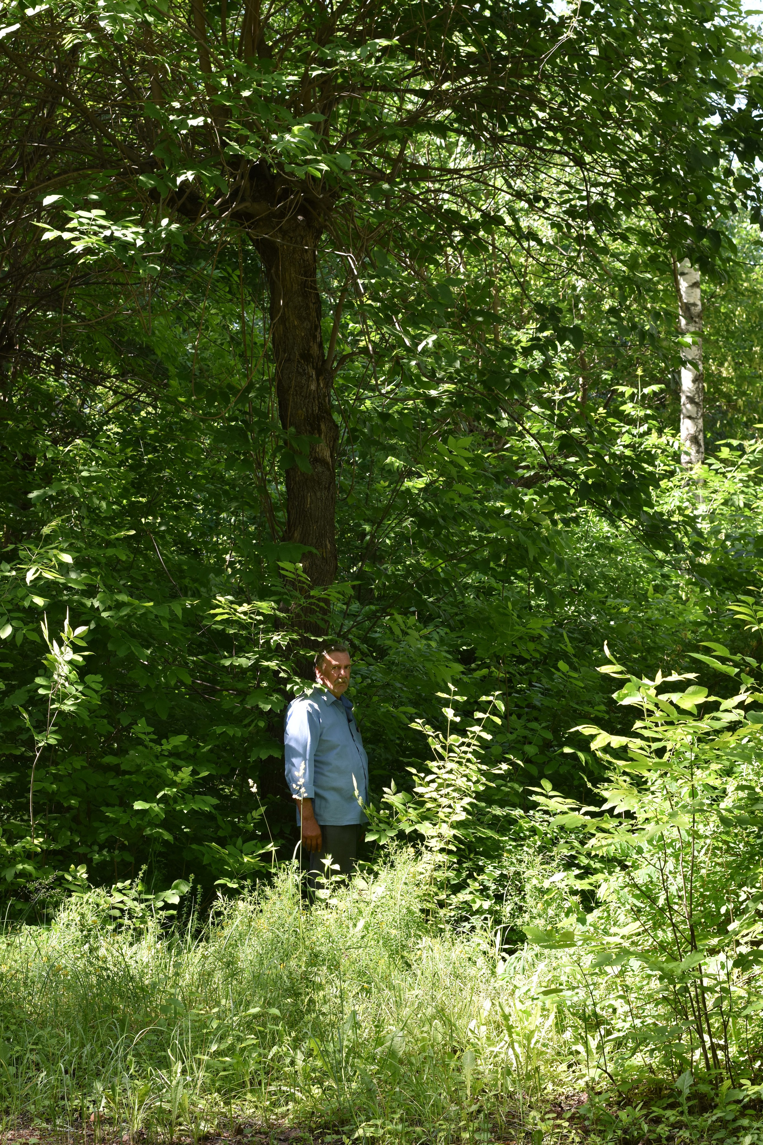 Добрый садовник (в процессе). Микс-медиа художница Надежда Пророкова