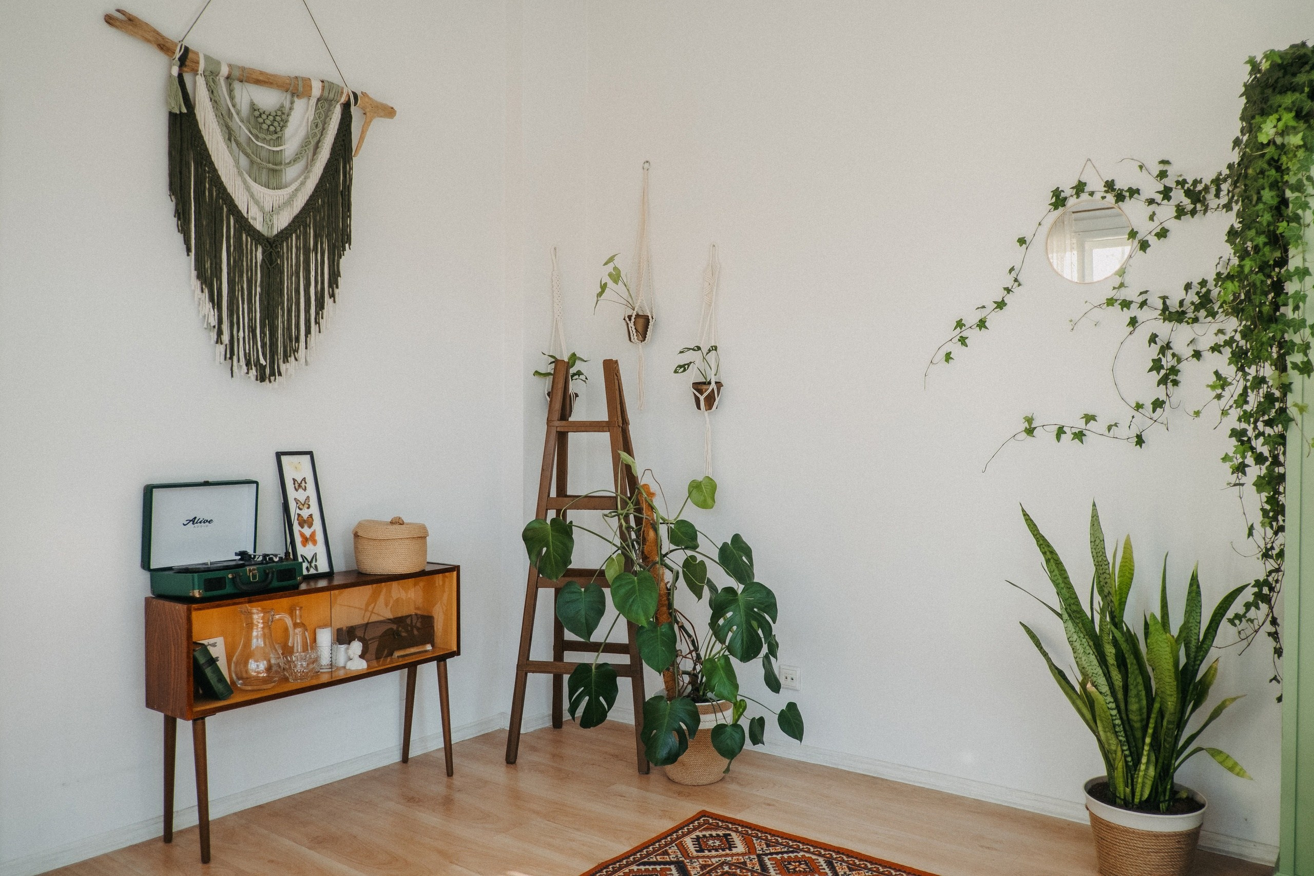 Фотостудии в Санкт-Петербурге. Свадебный и женский фотограф в Санкт-Петербурге Муртеева Екатерина