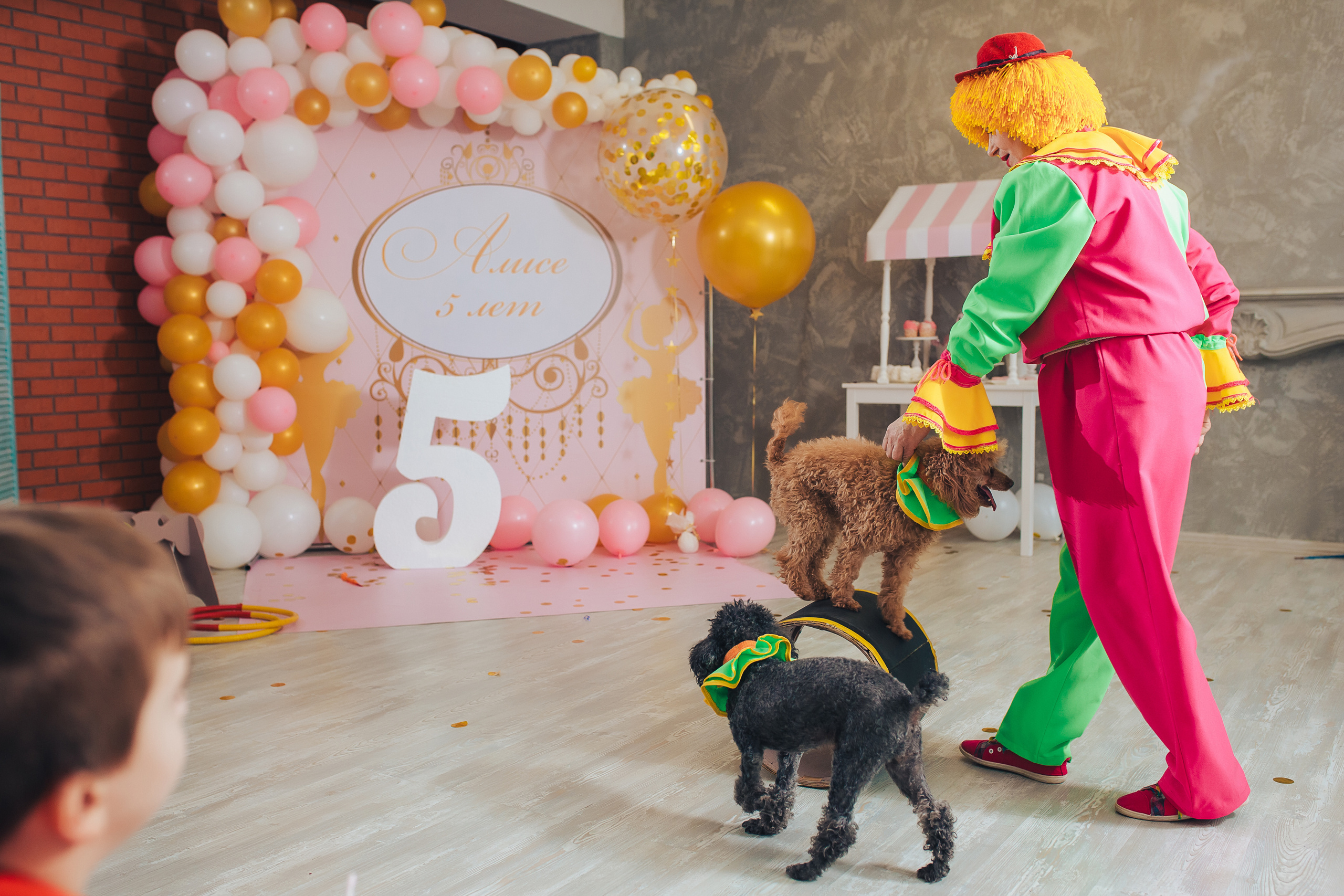 Детский День Рождения в Ростове на Дону. Фотограф Валерий Савиовский