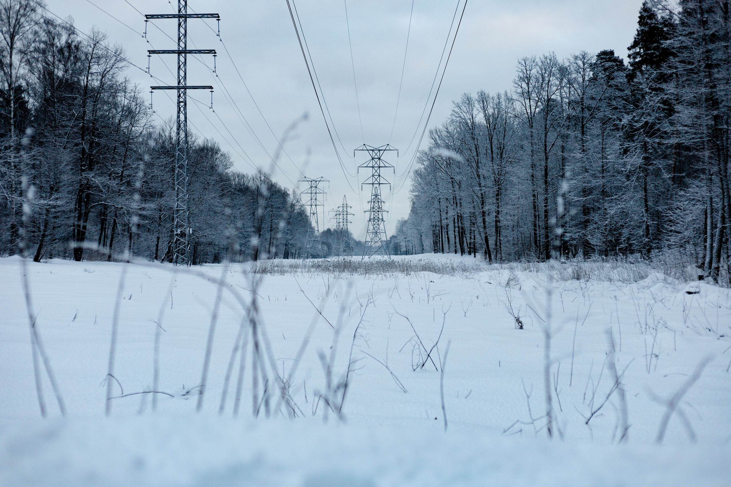 IzMyFive 5 км в Измайловском парке (04.02.2023). Павел Шарапов | Фотограф | Москва