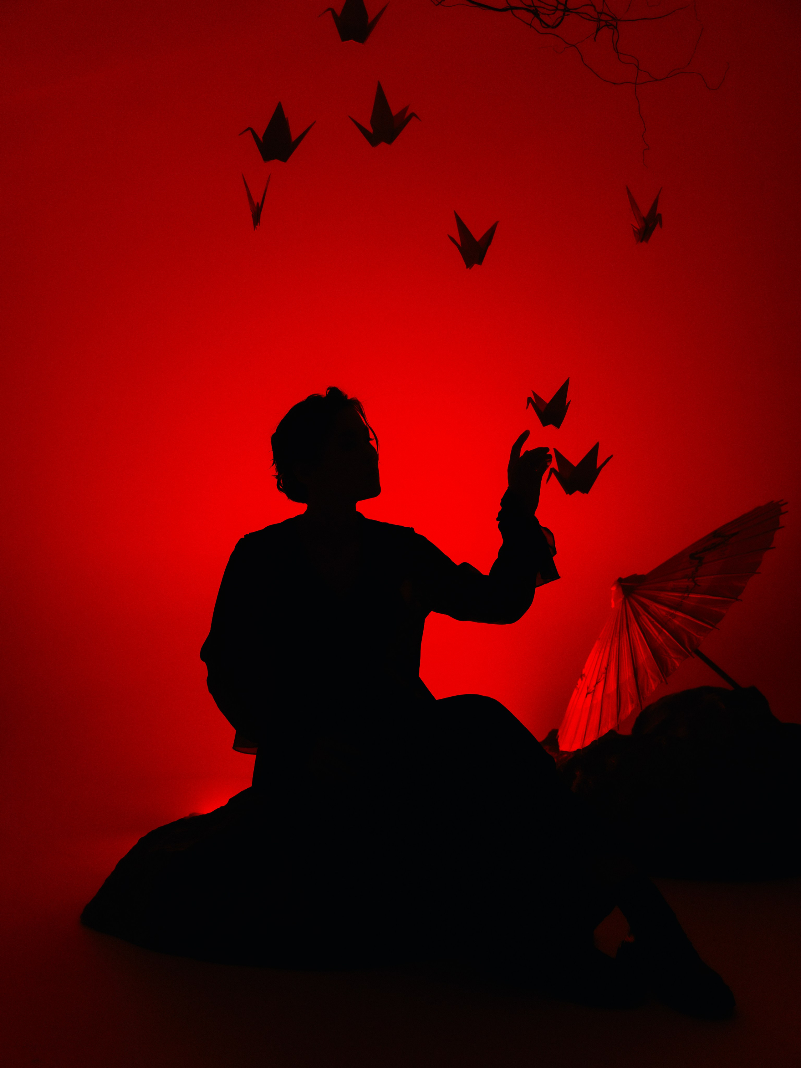 «Тени Киото»