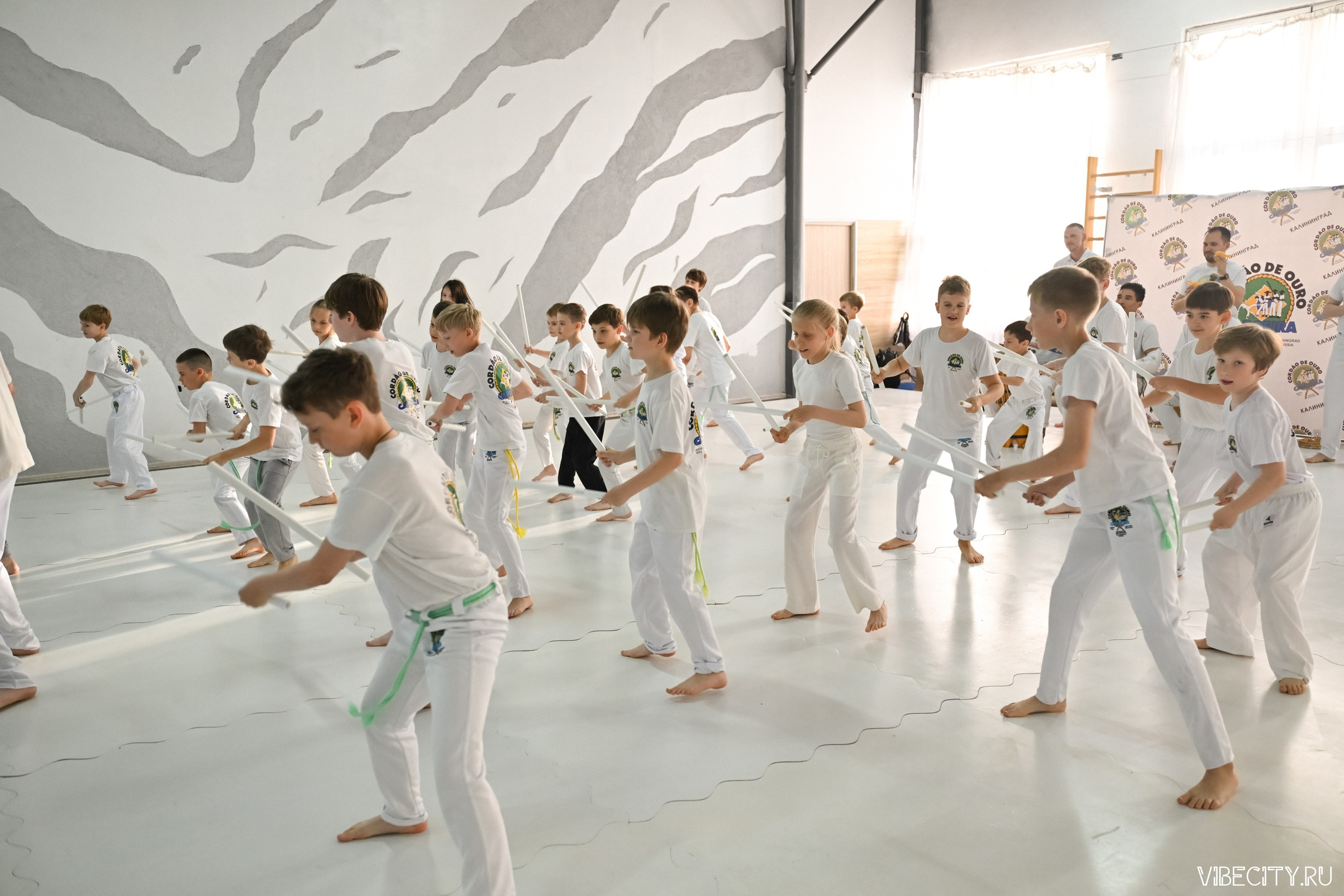 Capoeira: 4-е batizado e Troca de cordao. VIBECITY.RU Вайб Сити Ру Фоторепортажи Фотоотчеты Калининград