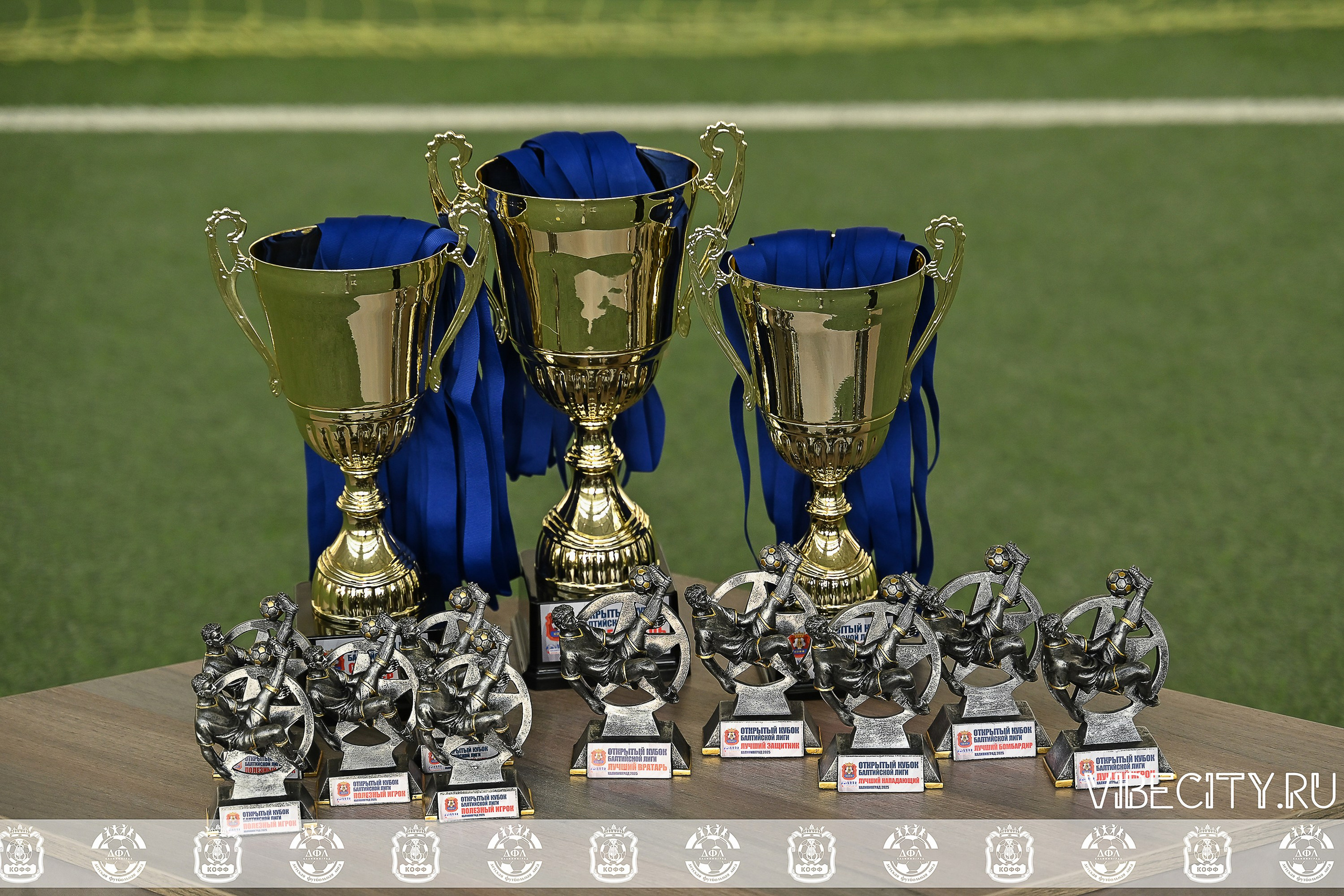 КУБОК БАЛТИЙСКОЙ ЛИГИ U9 СЛ. VIBECITY.RU Вайб Сити Ру Фоторепортажи Фотоотчеты Калининград