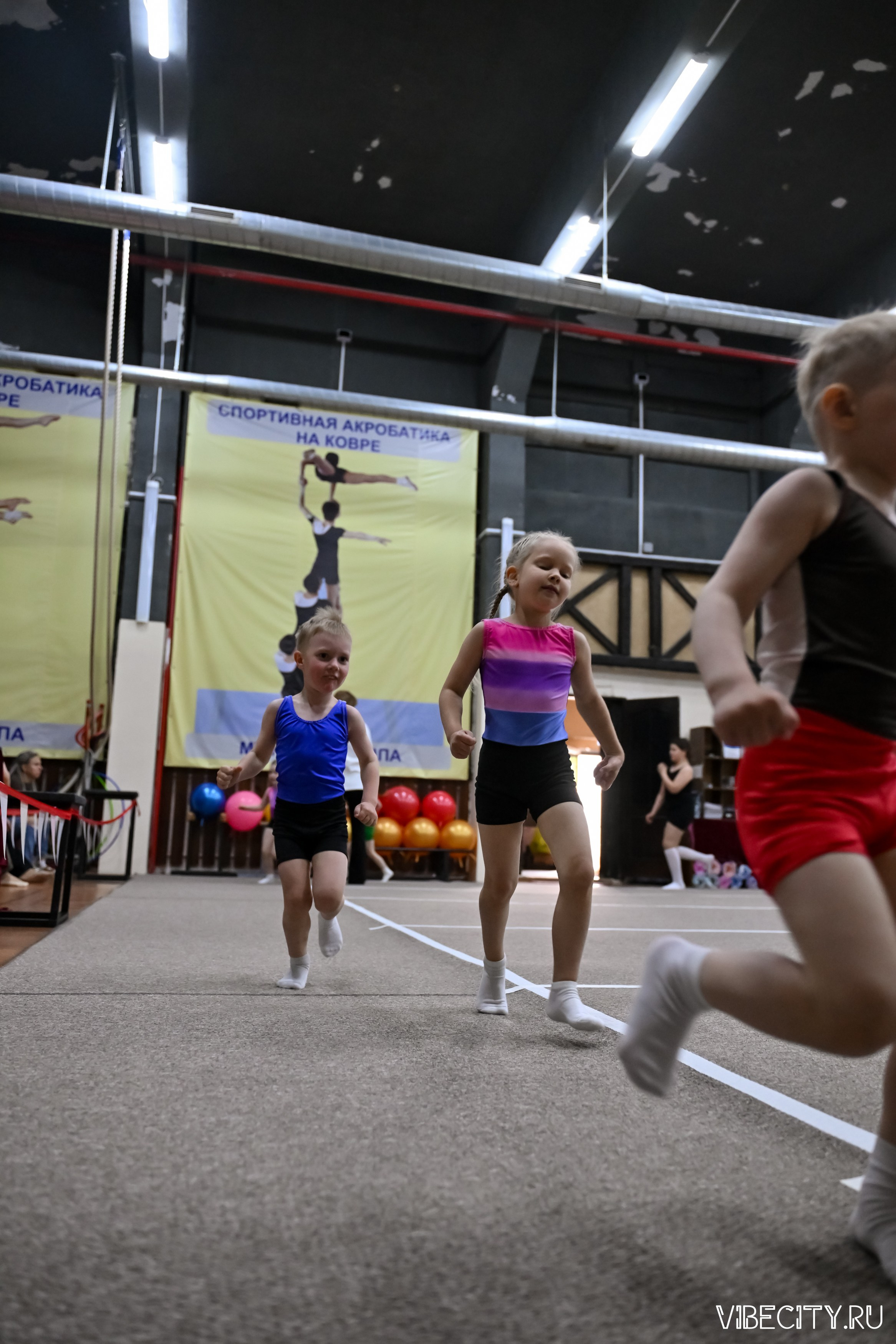 Контрольная тренировка по спортивной гимнастике. VIBECITY.RU Вайб Сити Ру Фоторепортажи Фотоотчеты Калининград