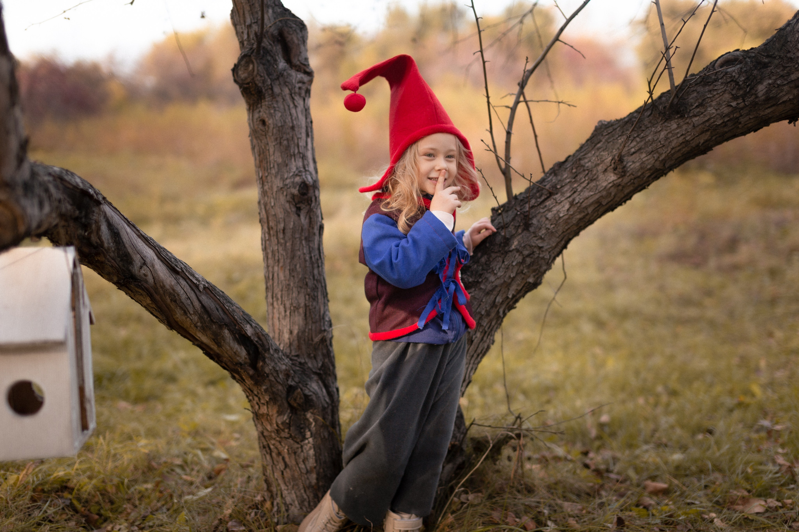 Лесные гномы