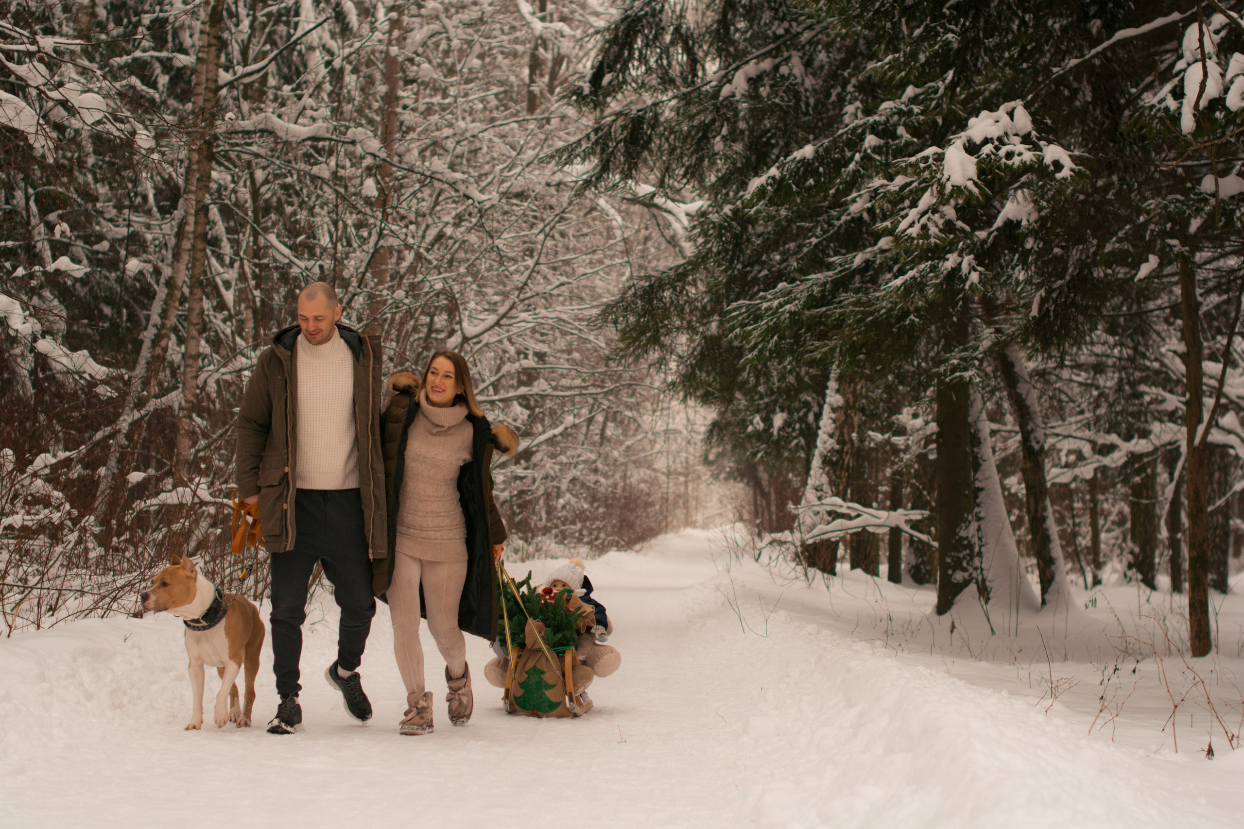 Прогулка в зимнем лесу. Парк Измайлово. Фотосессия беременности — Крылова Натали — Москва
