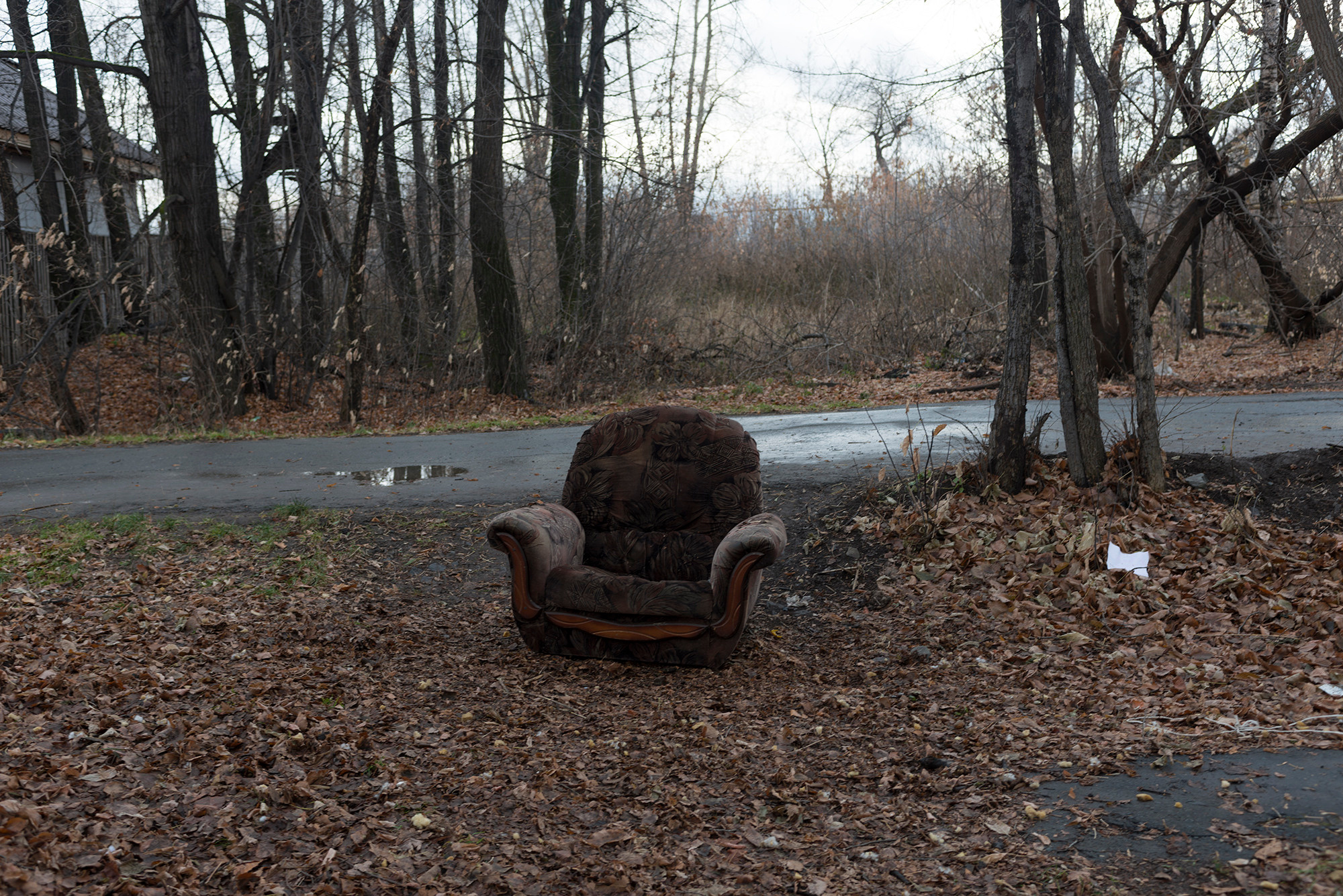Хлеба и зрелищ. Plechinta Ekaterina documentary photographer