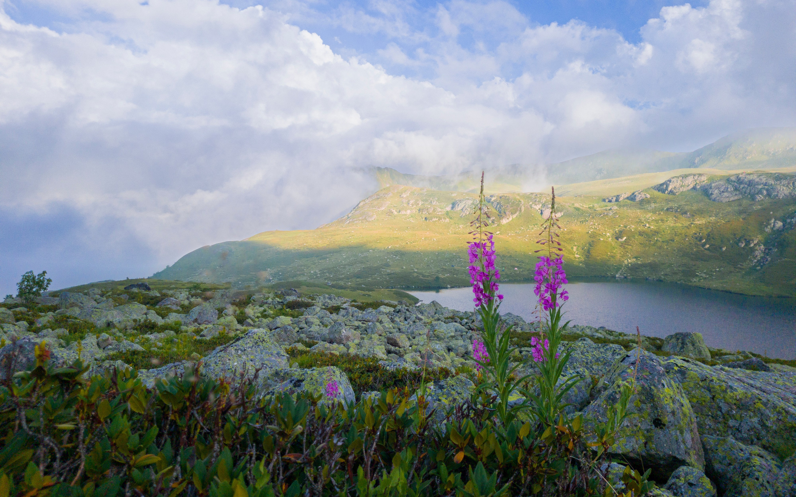Архыз. Плато Абишира-Ахуба. Пейзажная и архитектурная фотография в Туле, Татьяна Silva