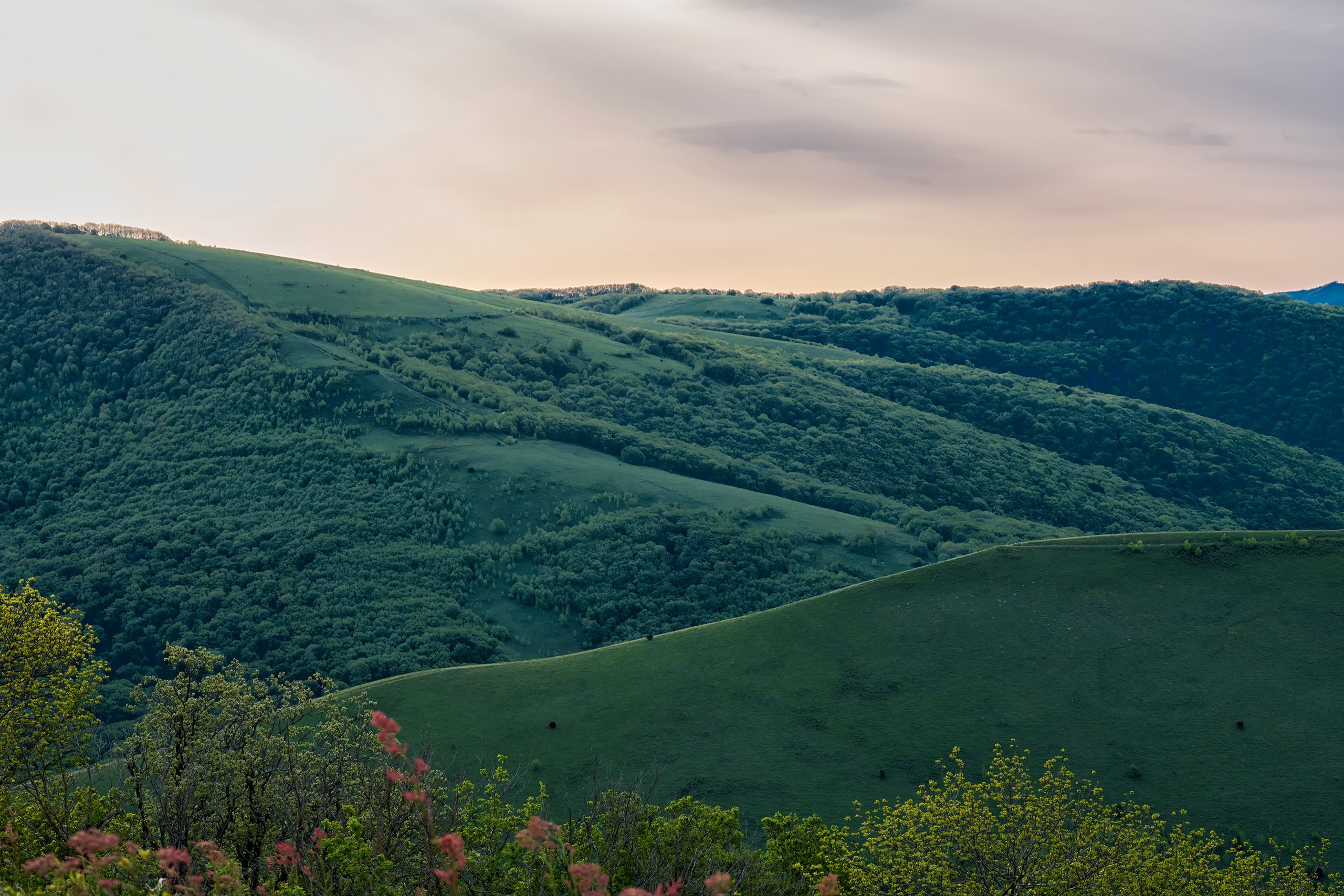 Пейзажи. Яркие фото на Чёрном море