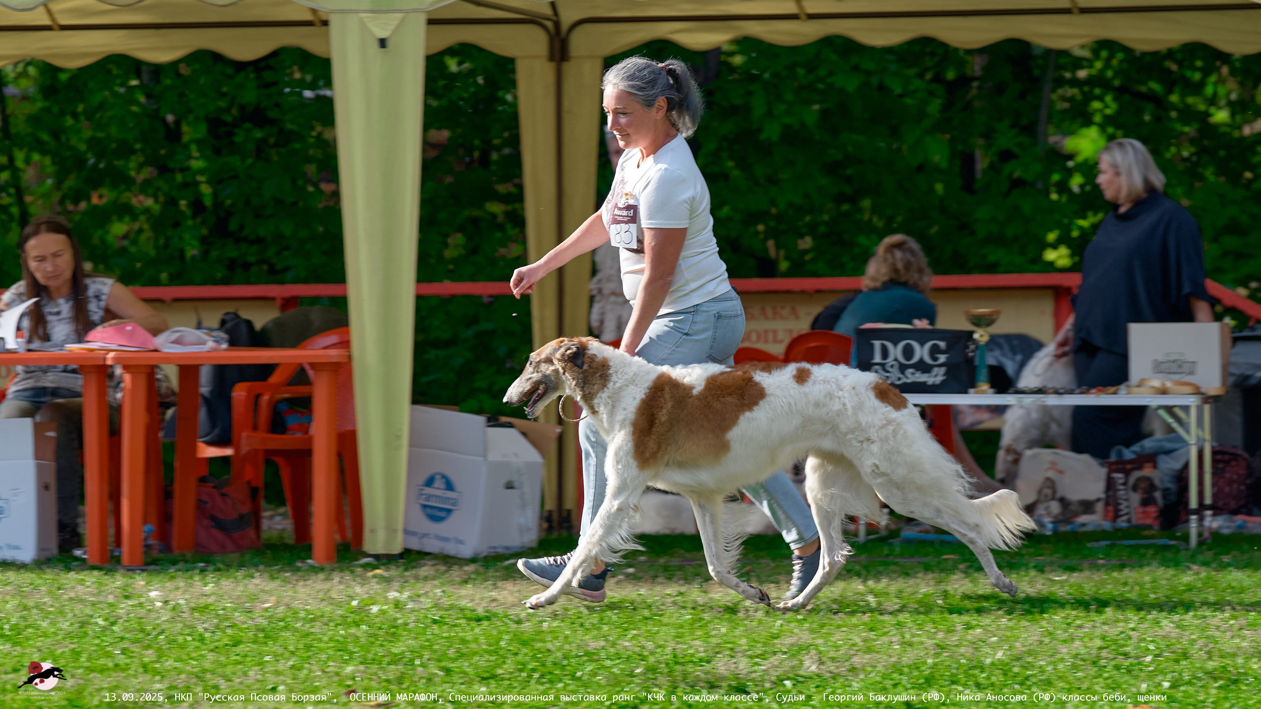 ОСЕННИЙ МАРАФОН | Специализированная выставка породы Русская Псовая Борзая ранг "КЧК в каждом классе"